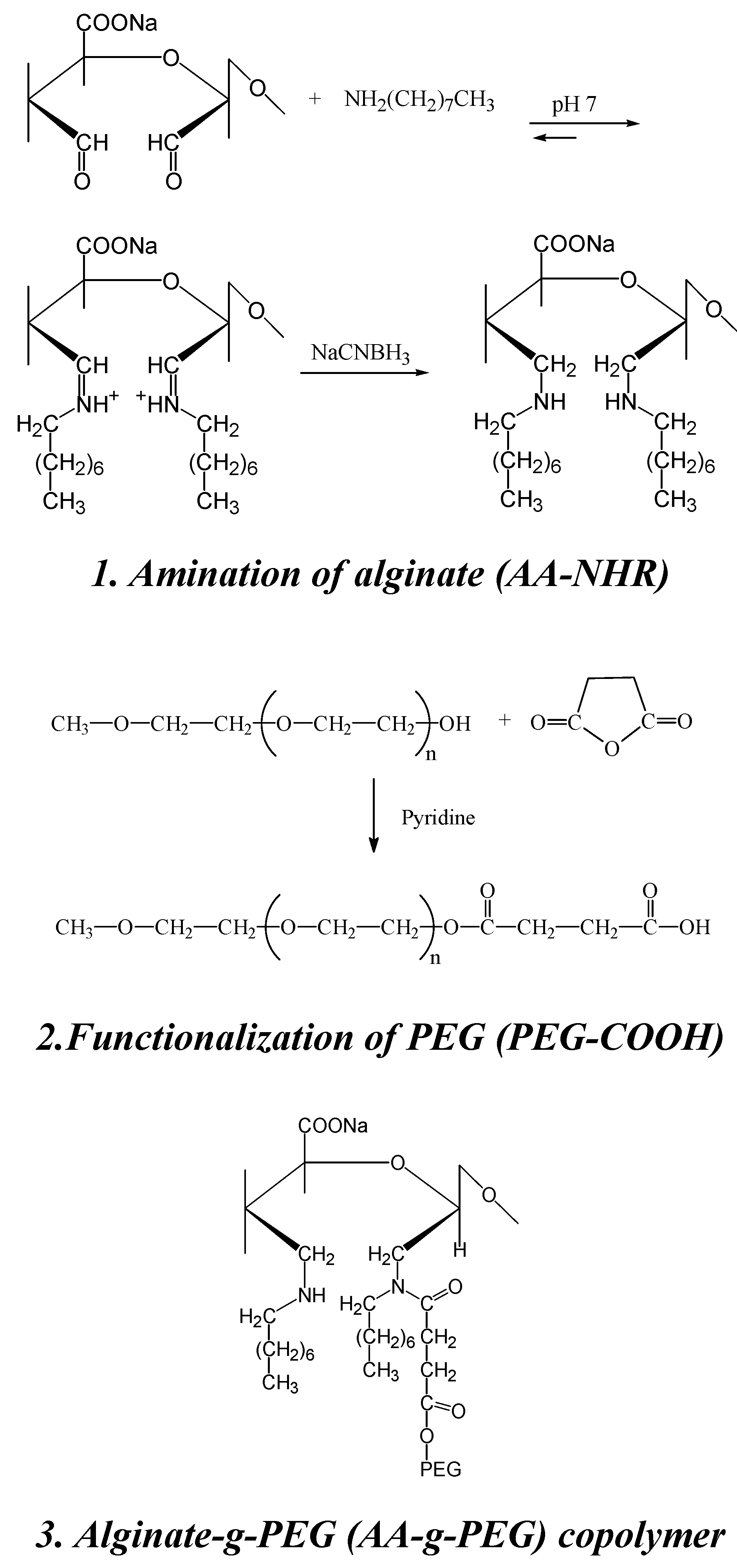 Molecules 13 02069 g011