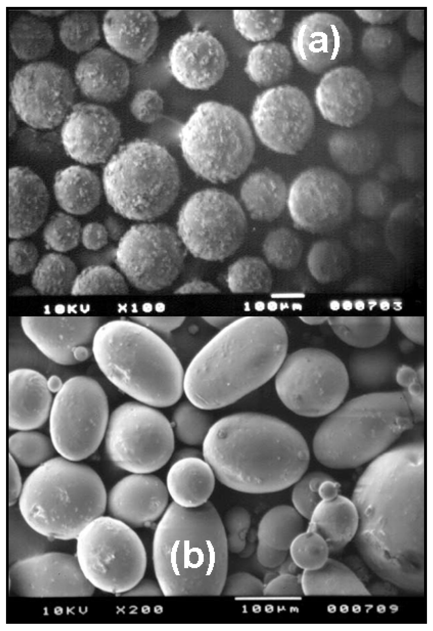 Molecules 13 02340 g002
