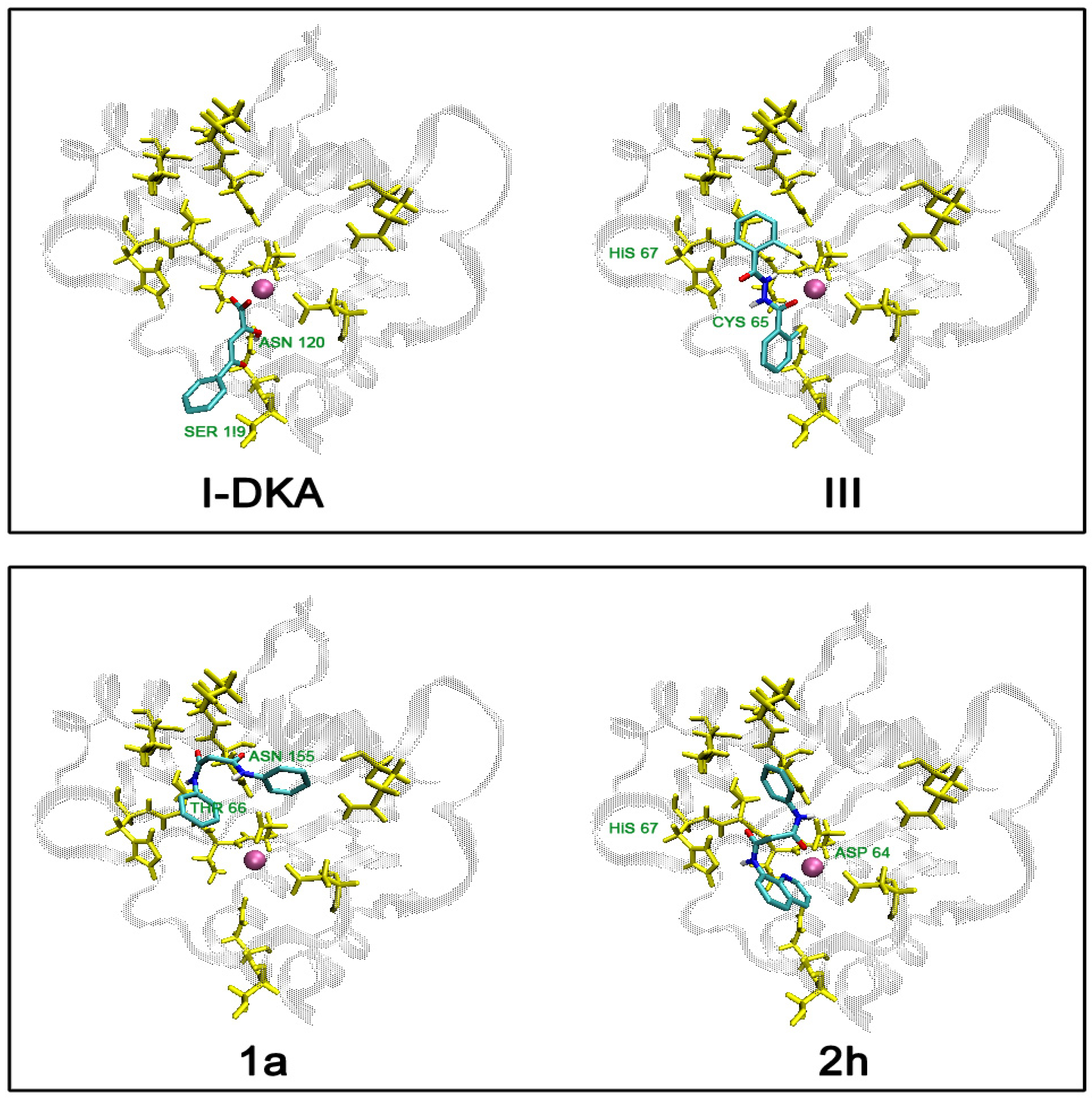 Molecules 13 02442 g006