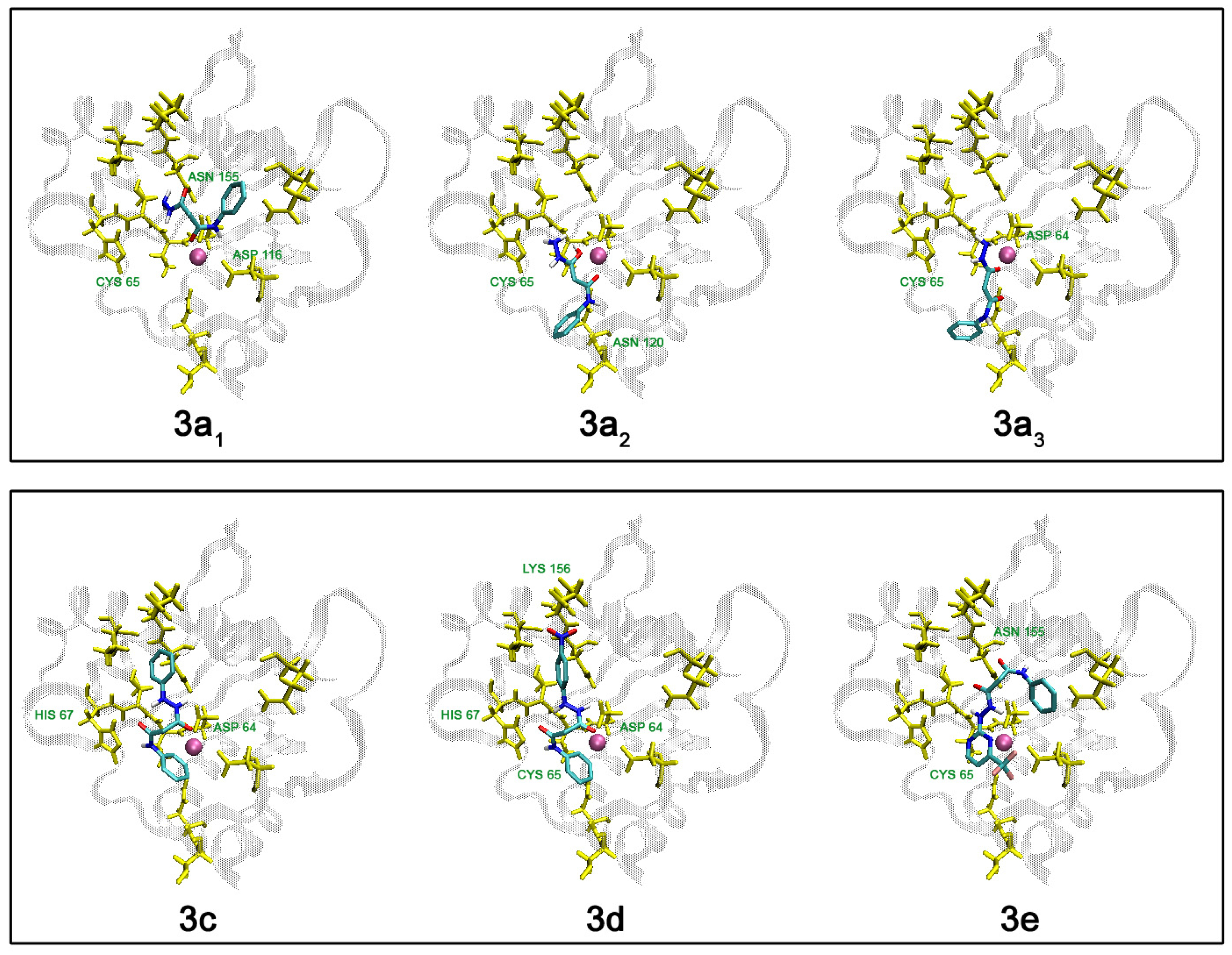 Molecules 13 02442 g007