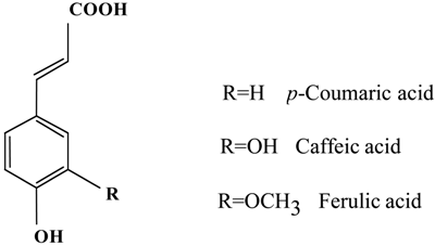 Molecules 13 02488 i001