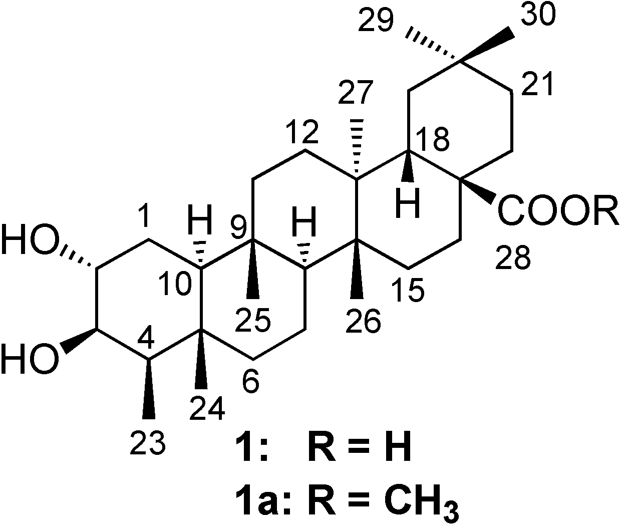 Molecules 13 02915 g001 550