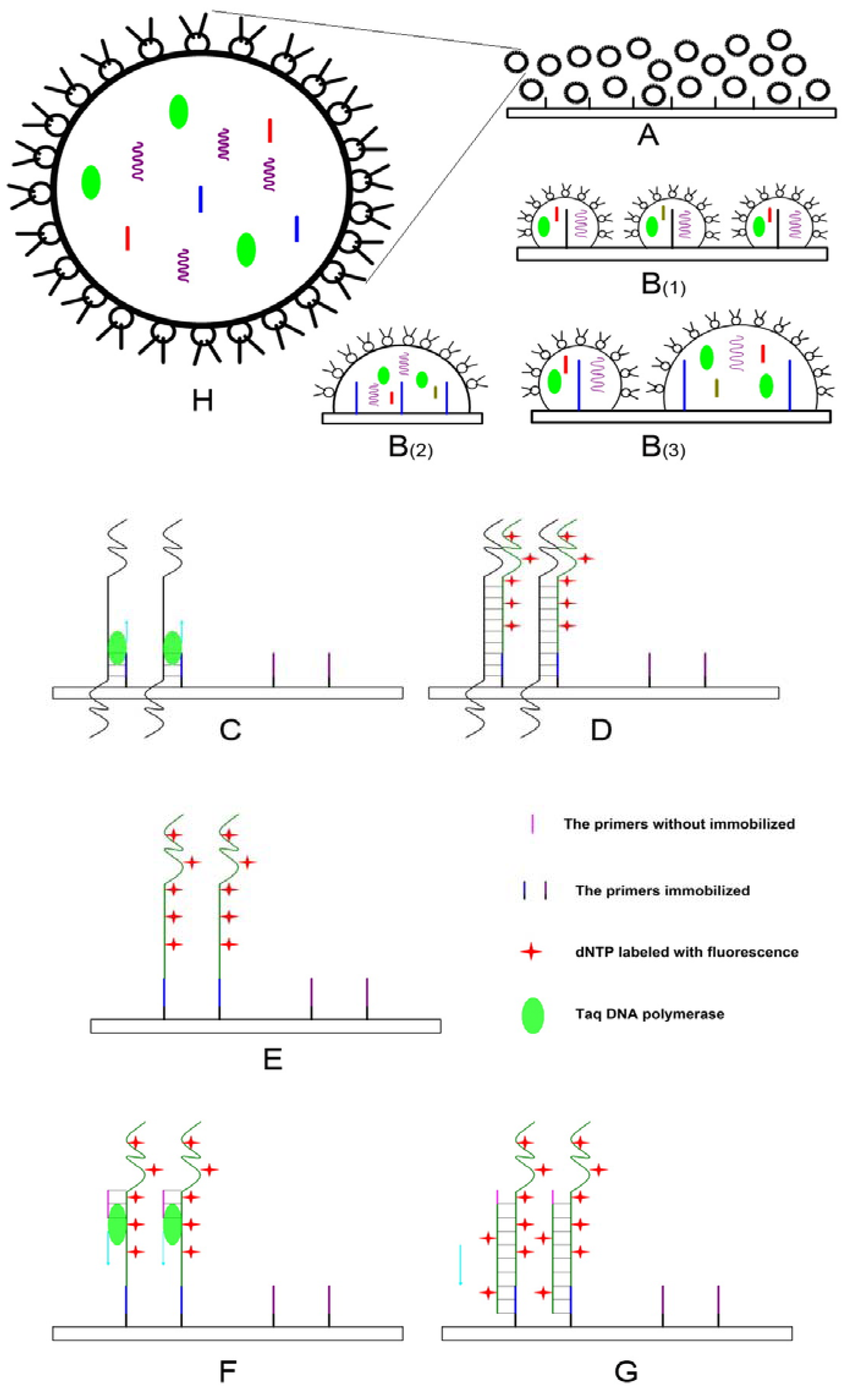 Molecules 13 03057 g001