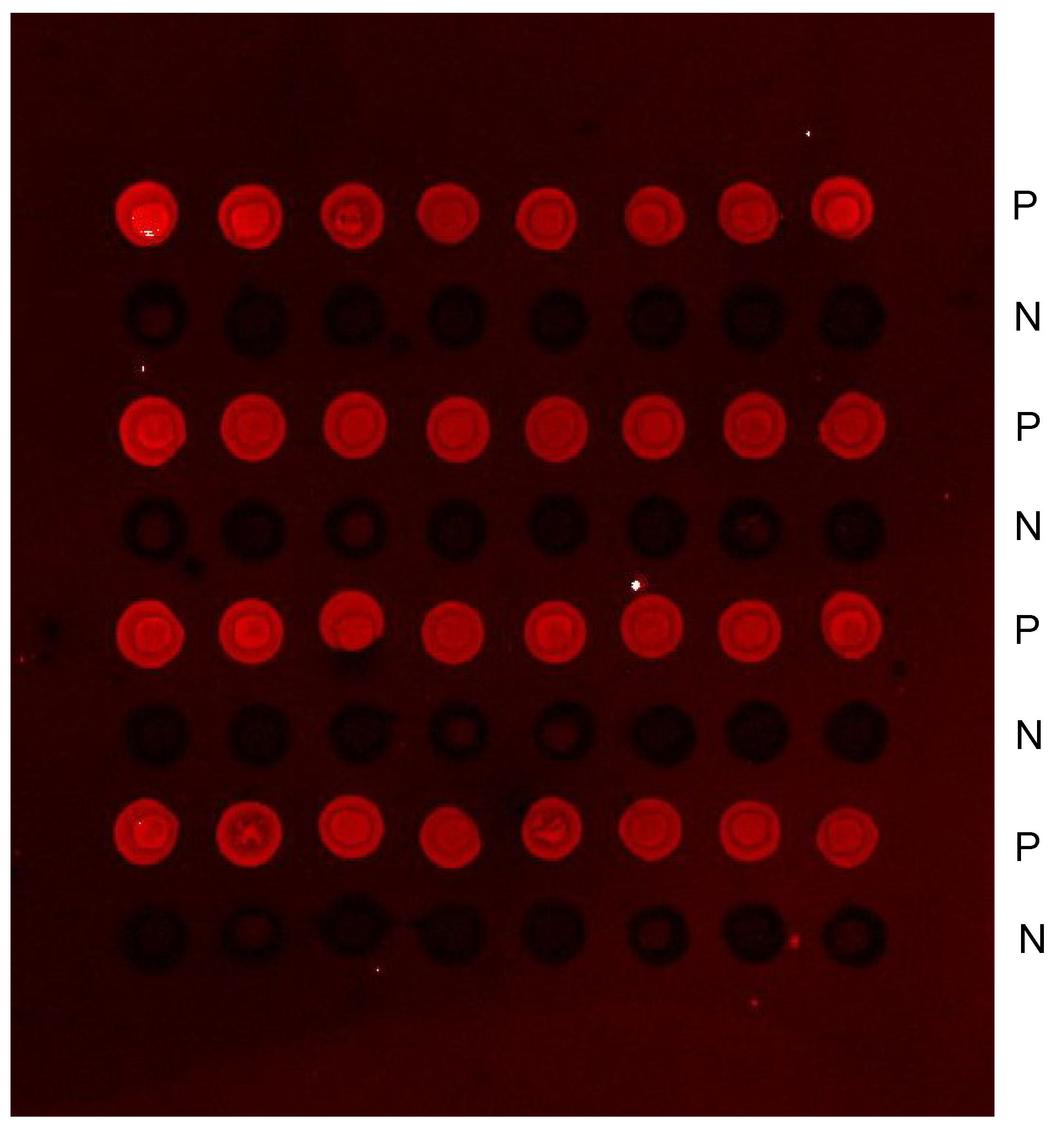Molecules 13 03057 g003