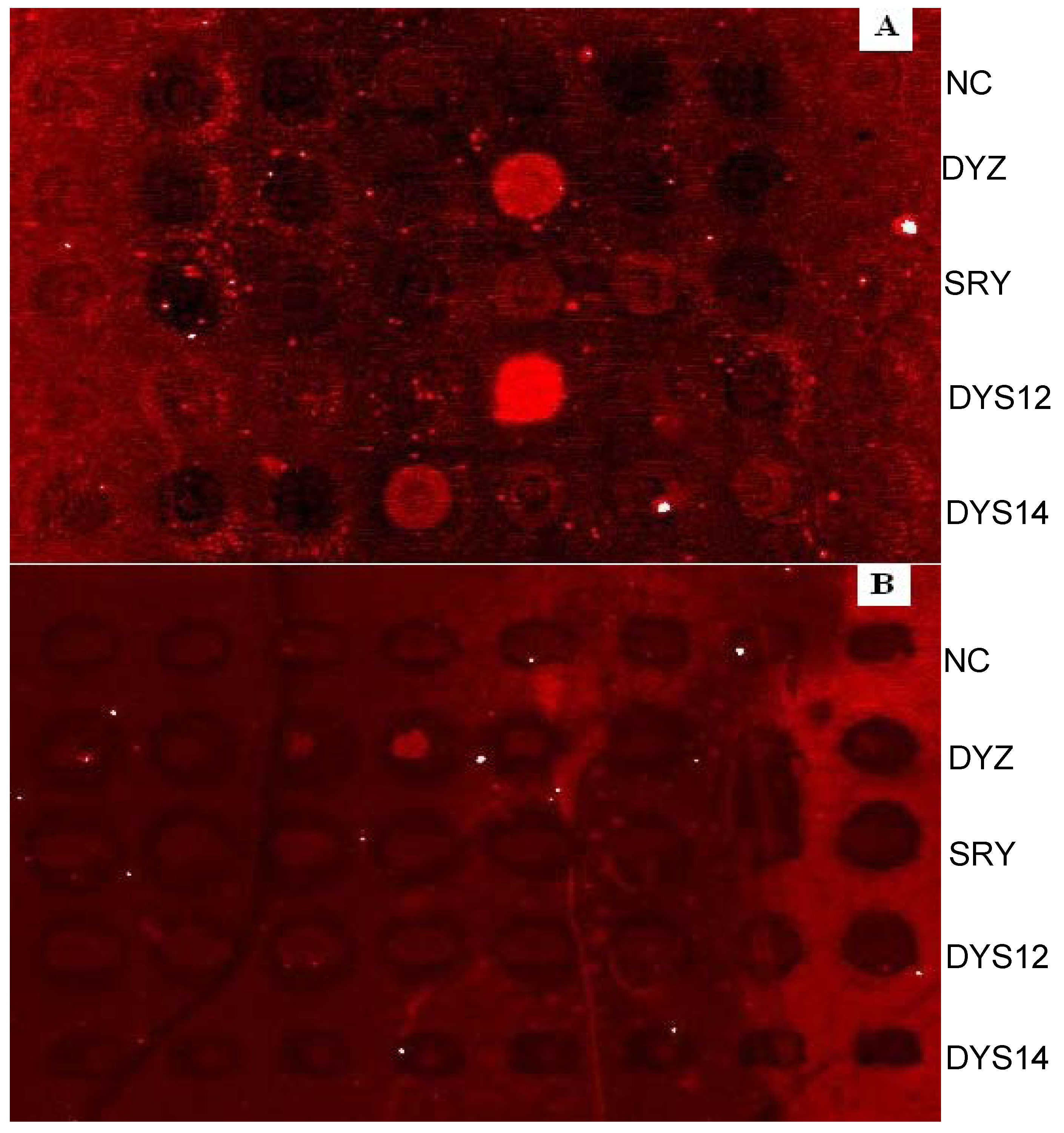 Molecules 13 03057 g005