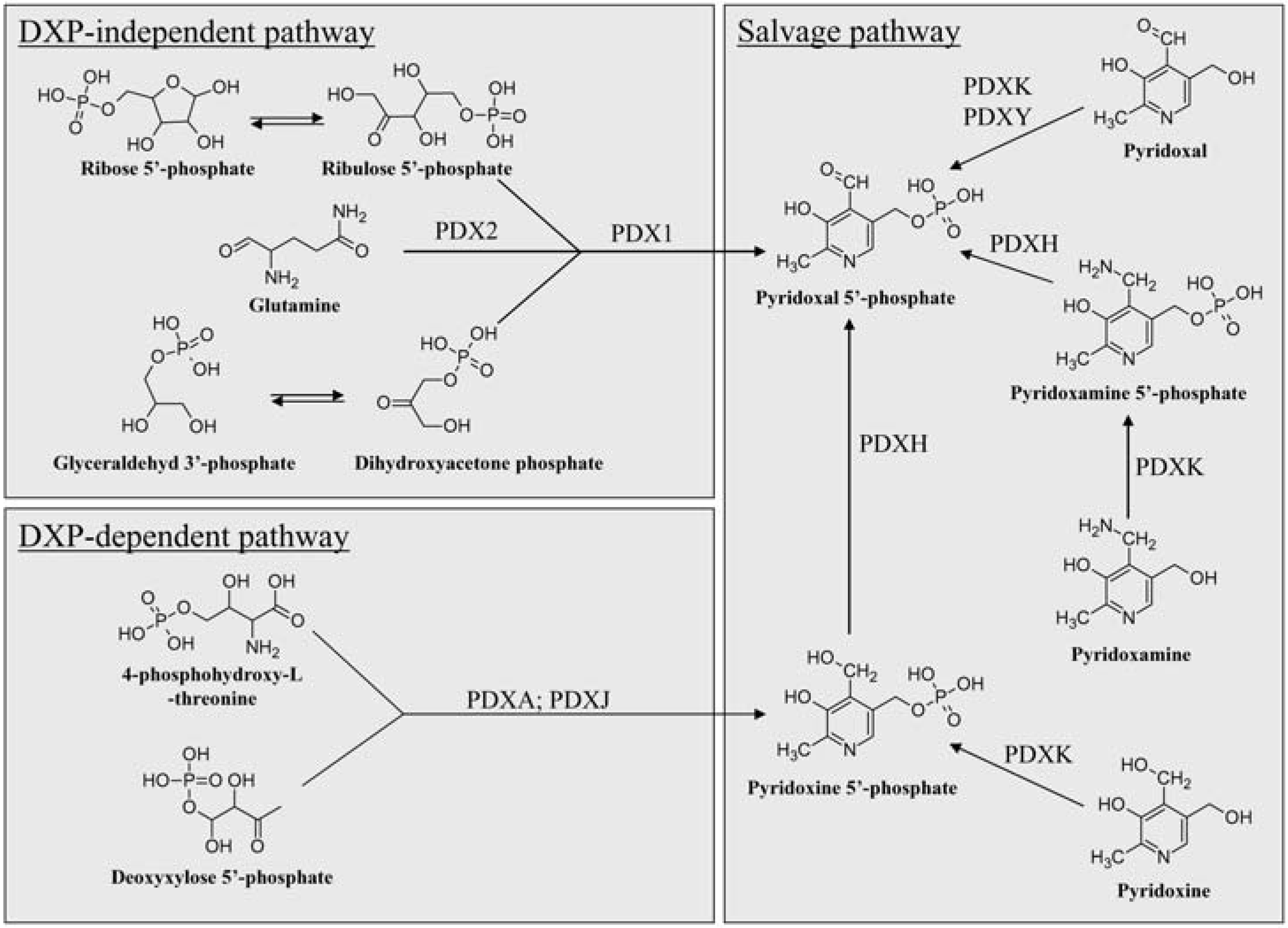 Molecules 14 00329 g001