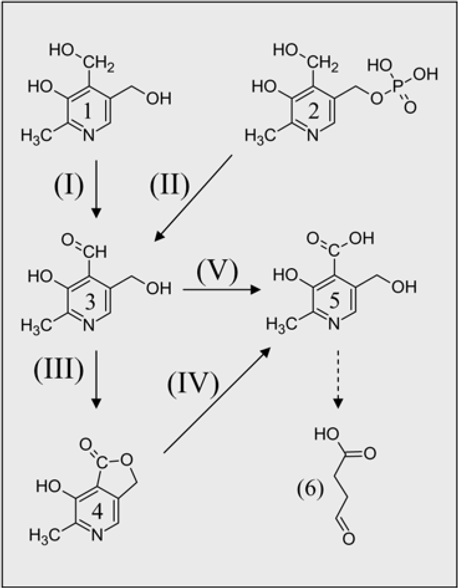 Molecules 14 00329 g002