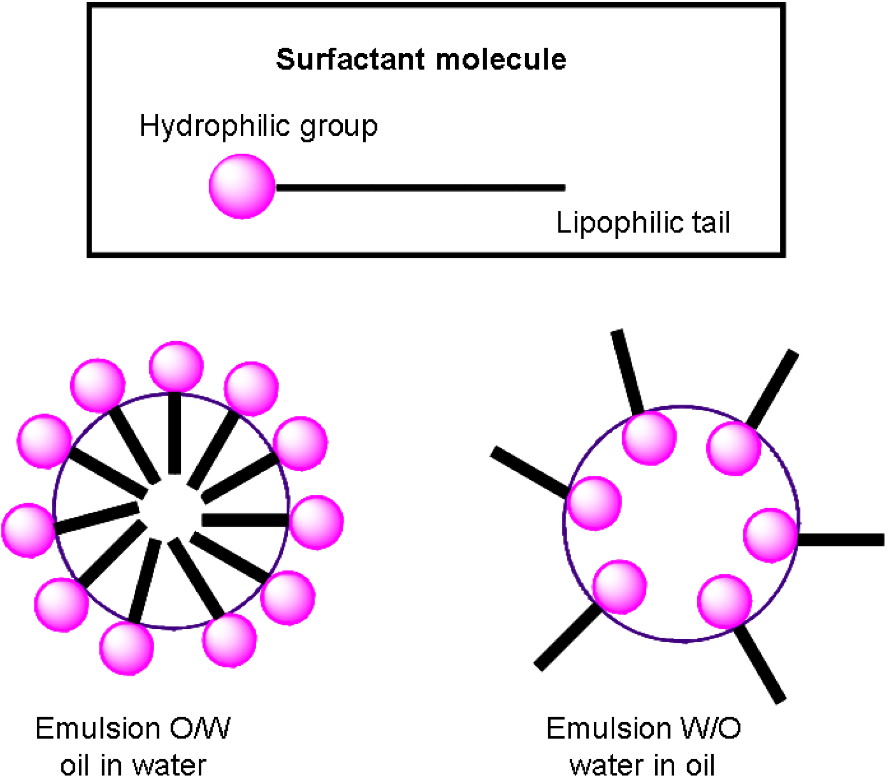 Molecules 14 00540 g003