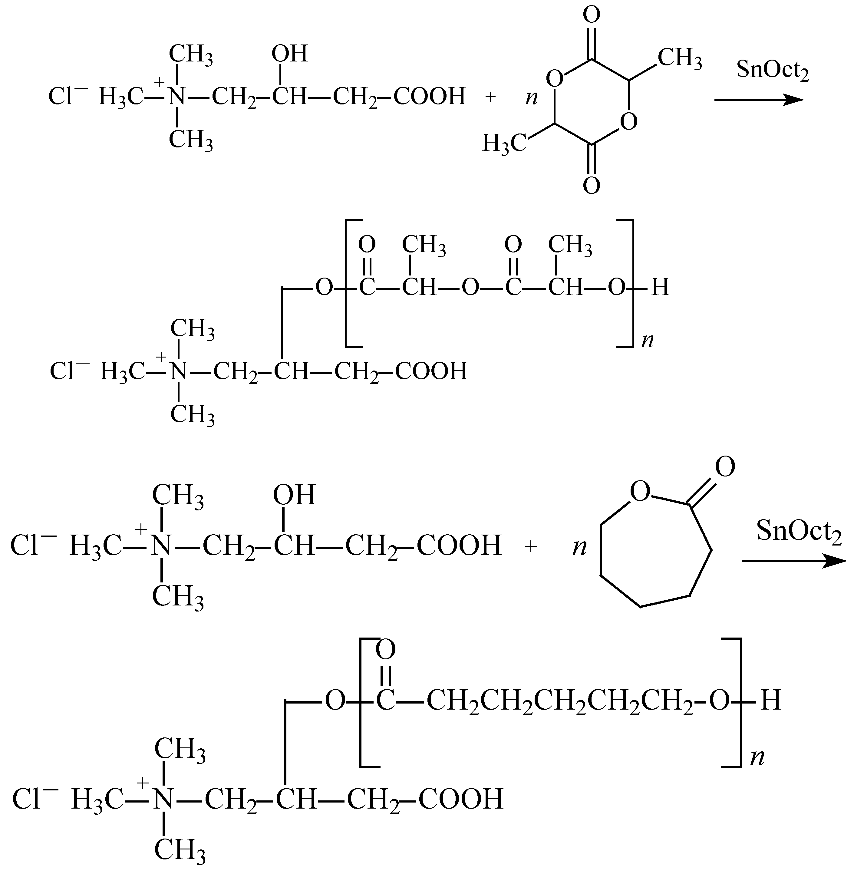 Molecules Free FullText Polymerization of Cyclic Esters Initiated