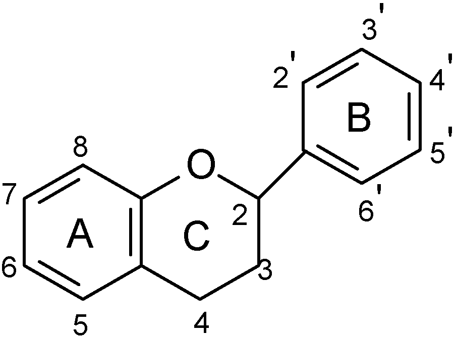 Molecules 14 00979 g001