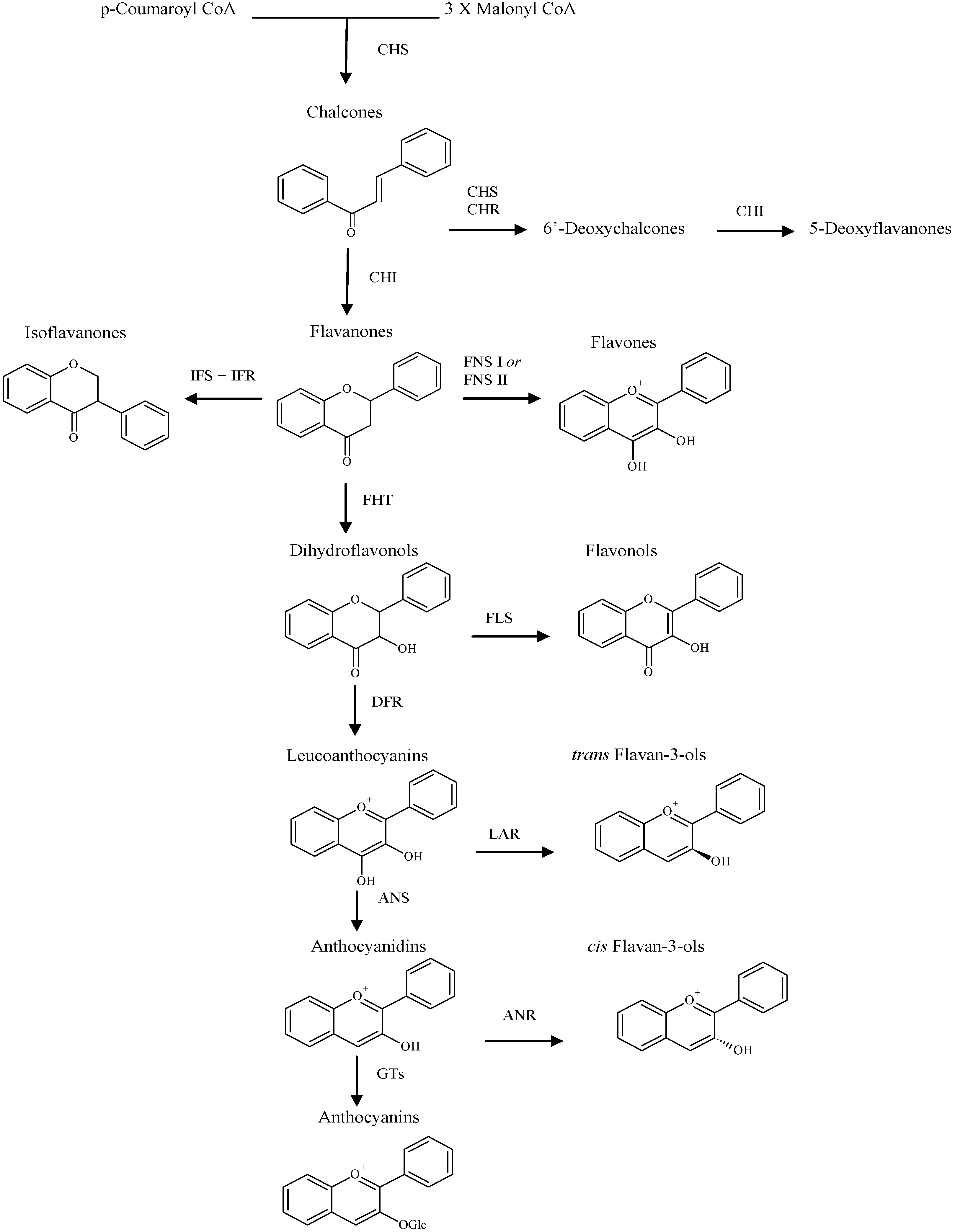 Molecules 14 00979 g002