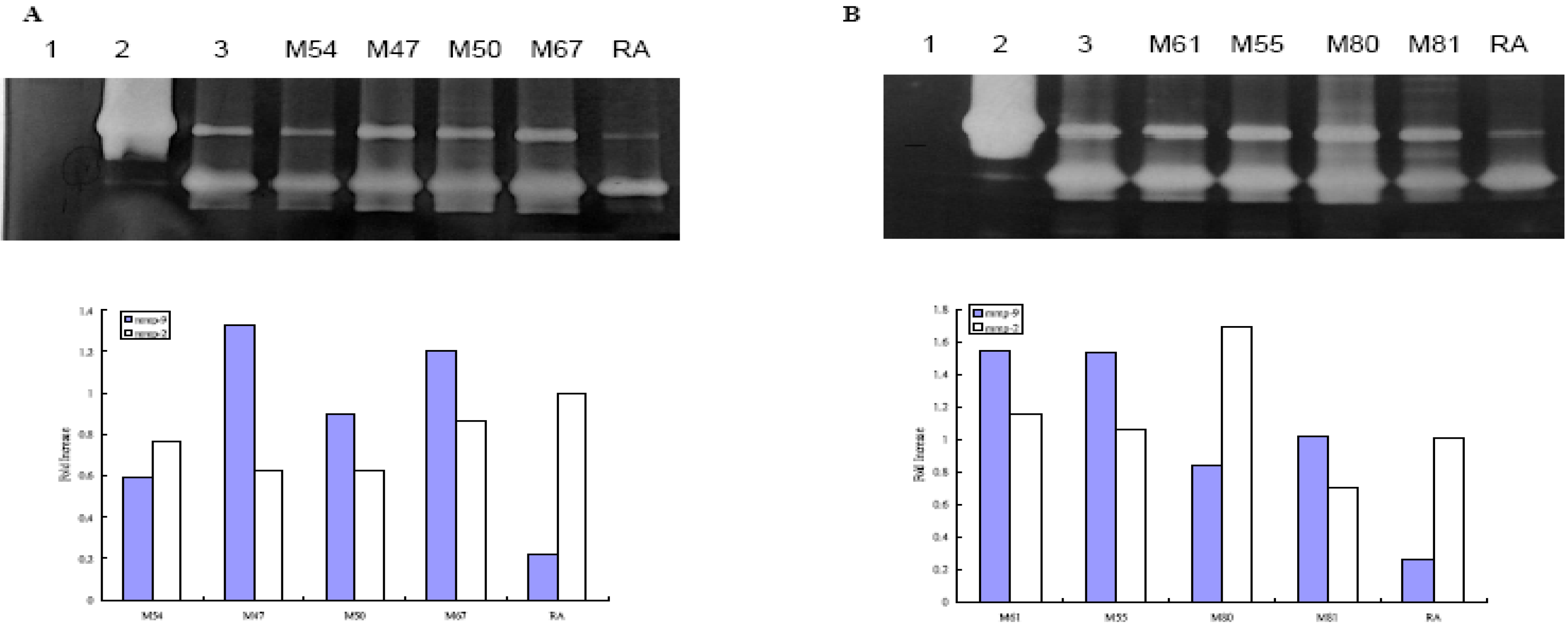 Molecules 14 01062 g001 550