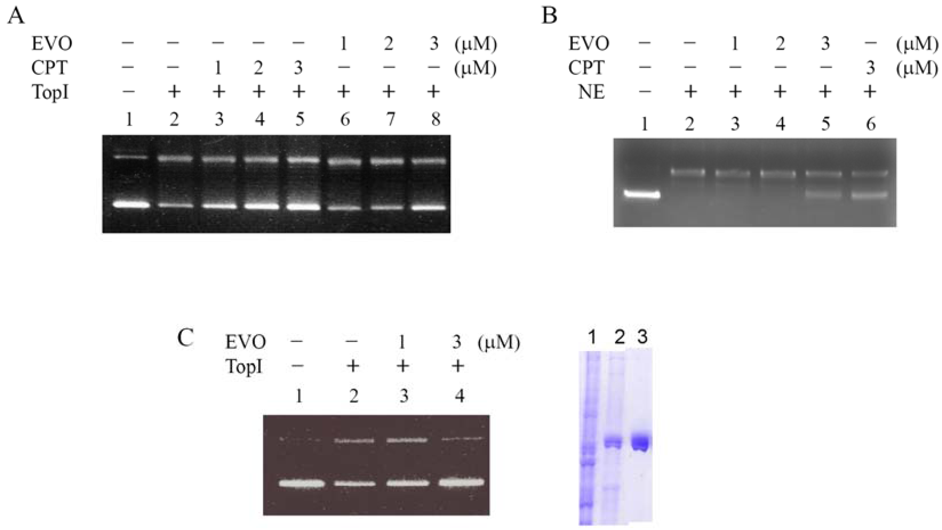 Molecules 14 01342 g002 550