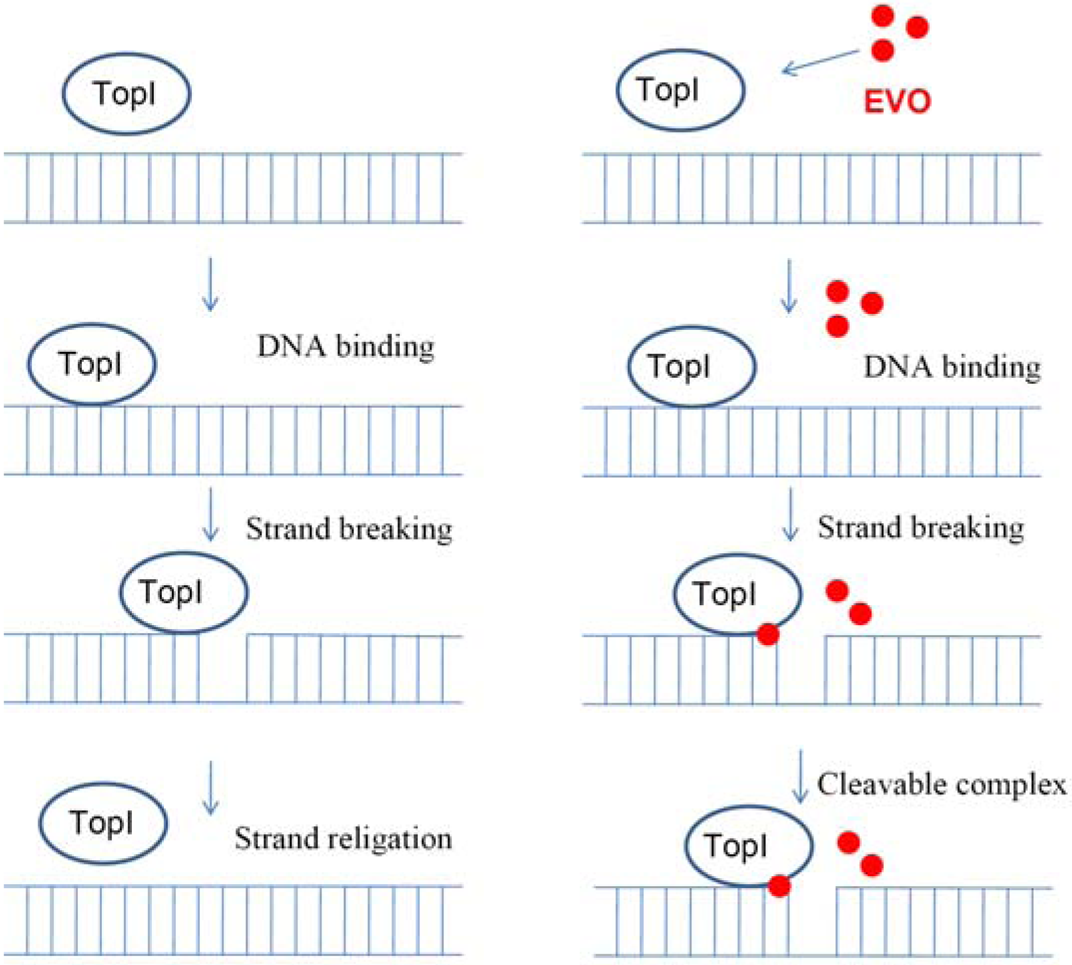 Molecules 14 01342 g005 550