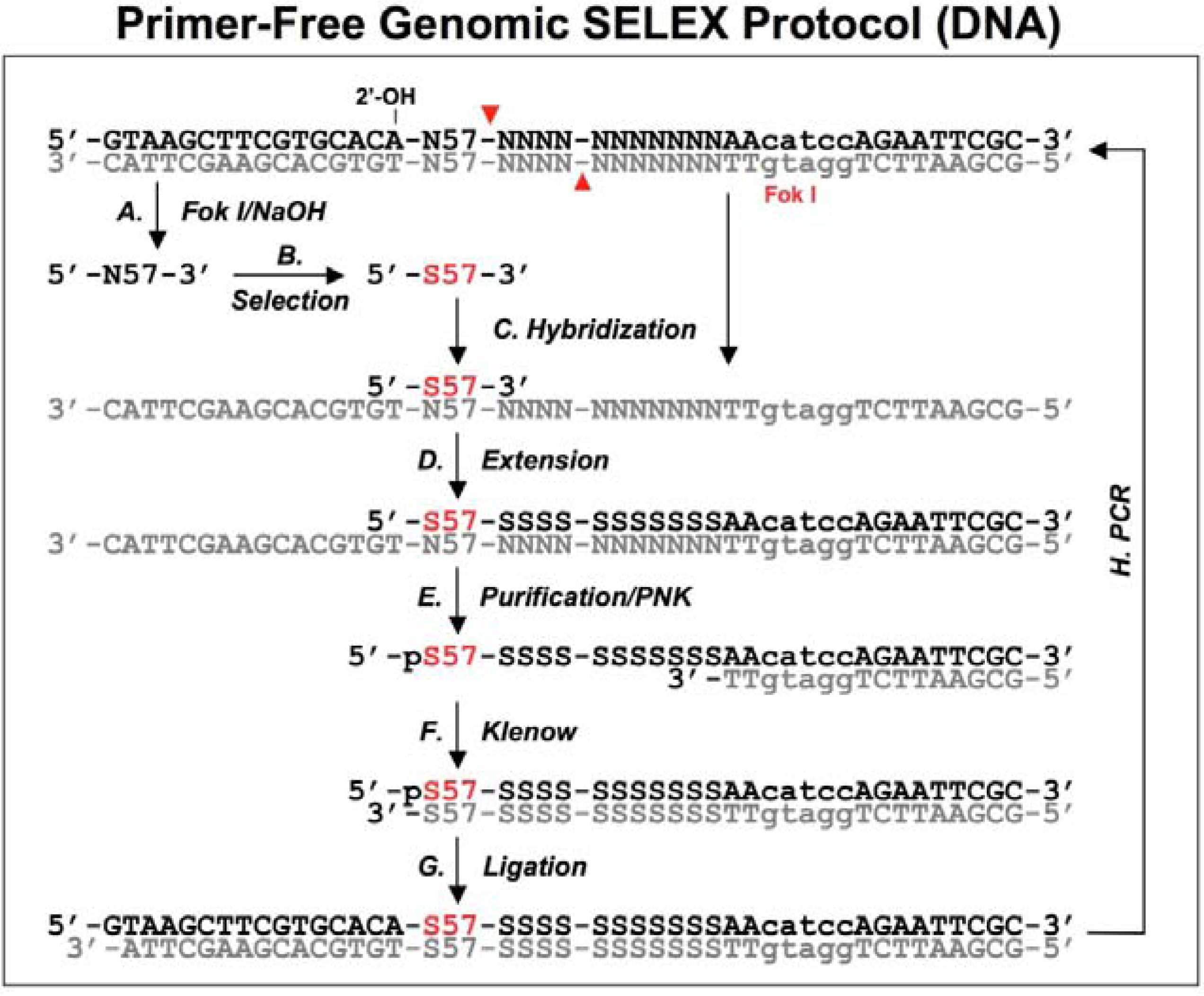 Molecules 14 01353 g003 550