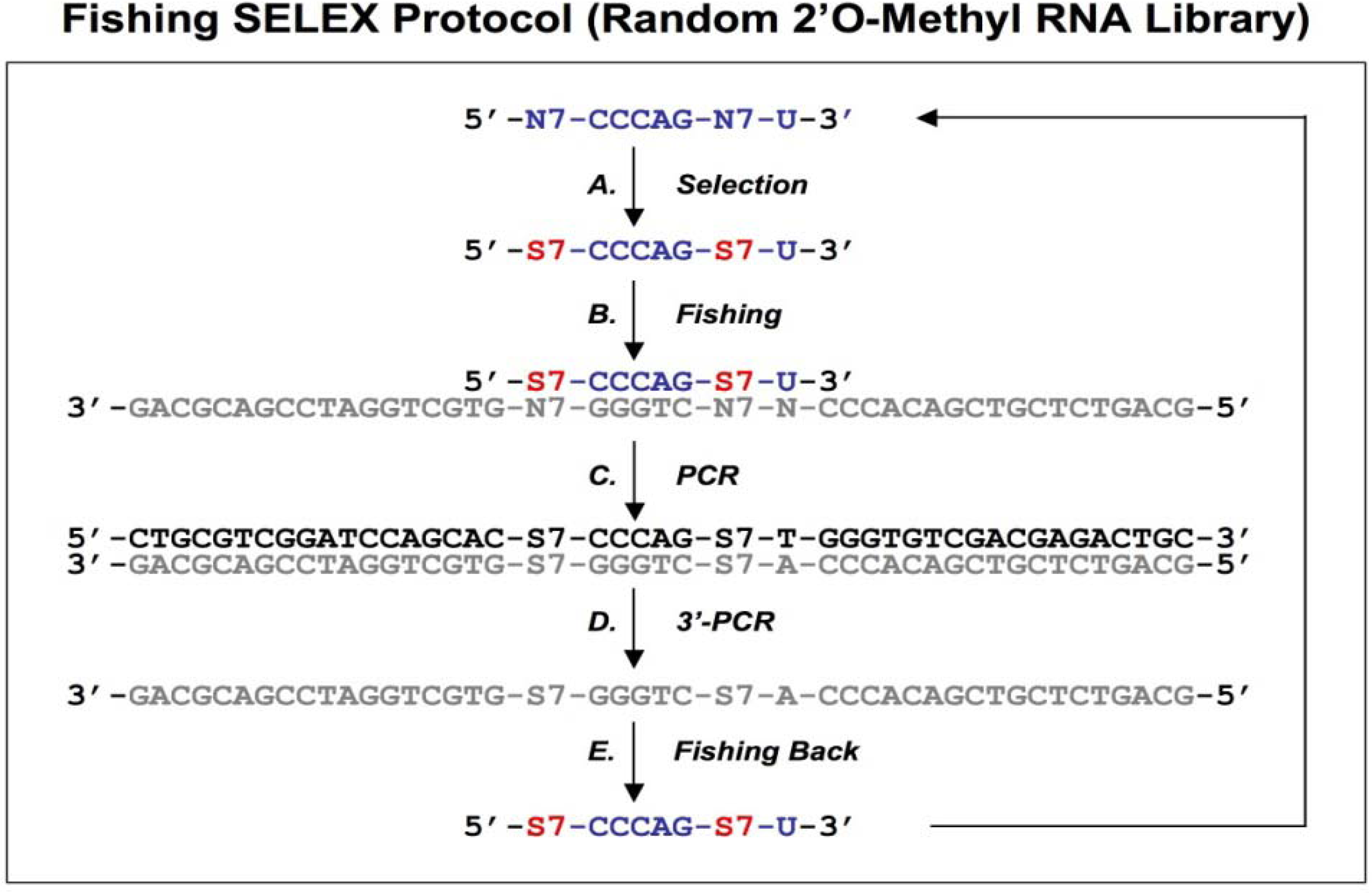Molecules 14 01353 g004 550