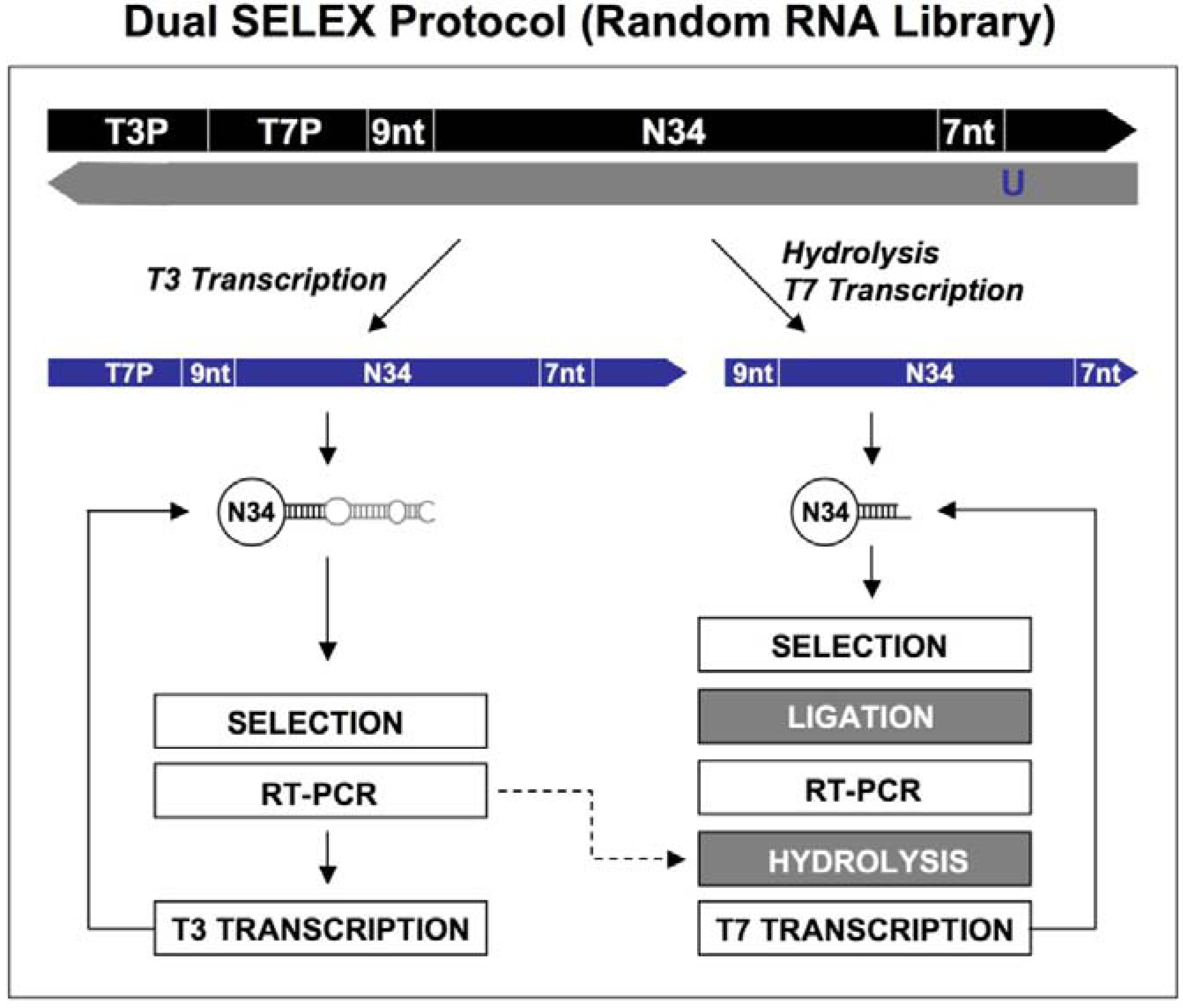 Molecules 14 01353 g006 550