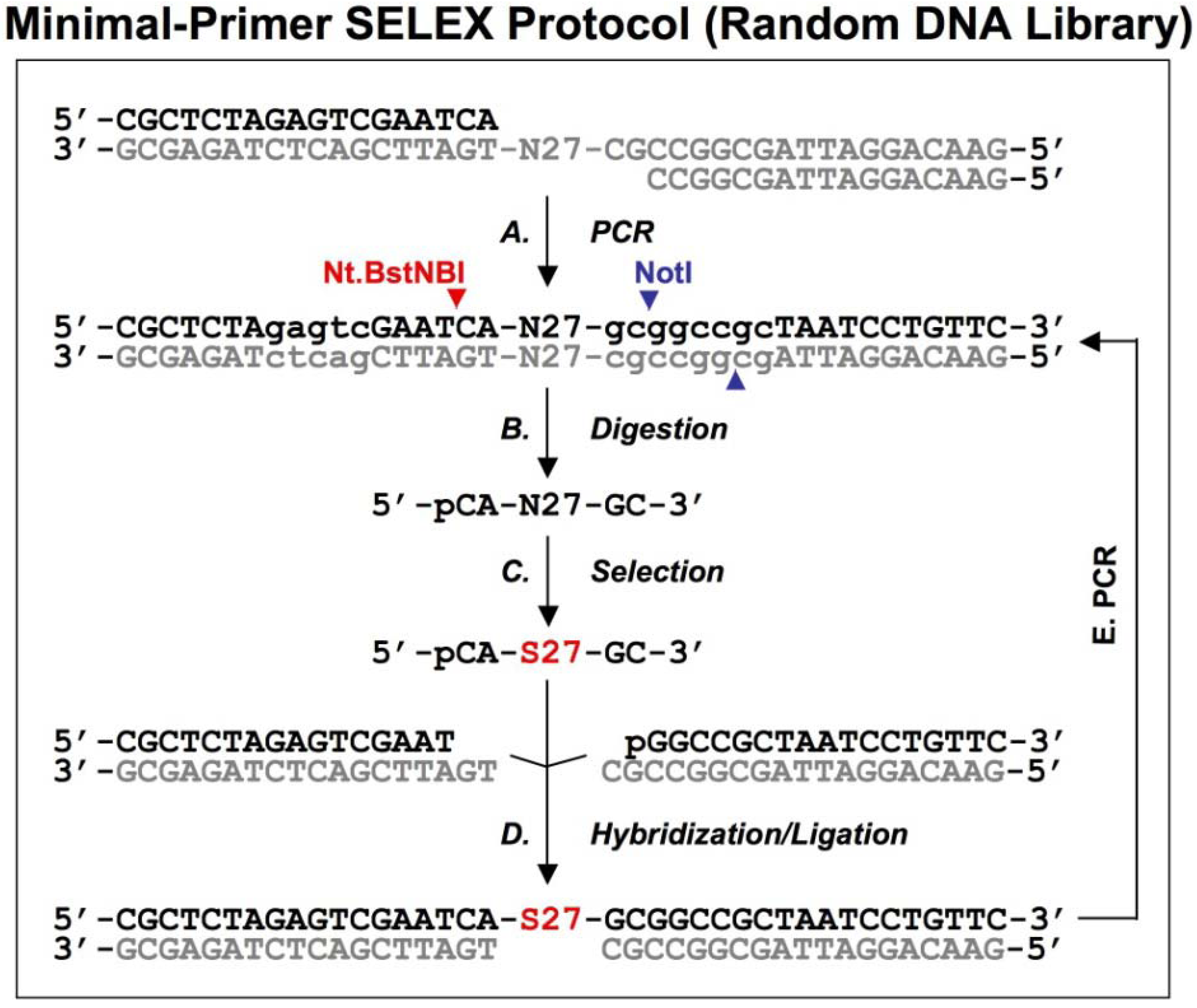 Molecules 14 01353 g007 550