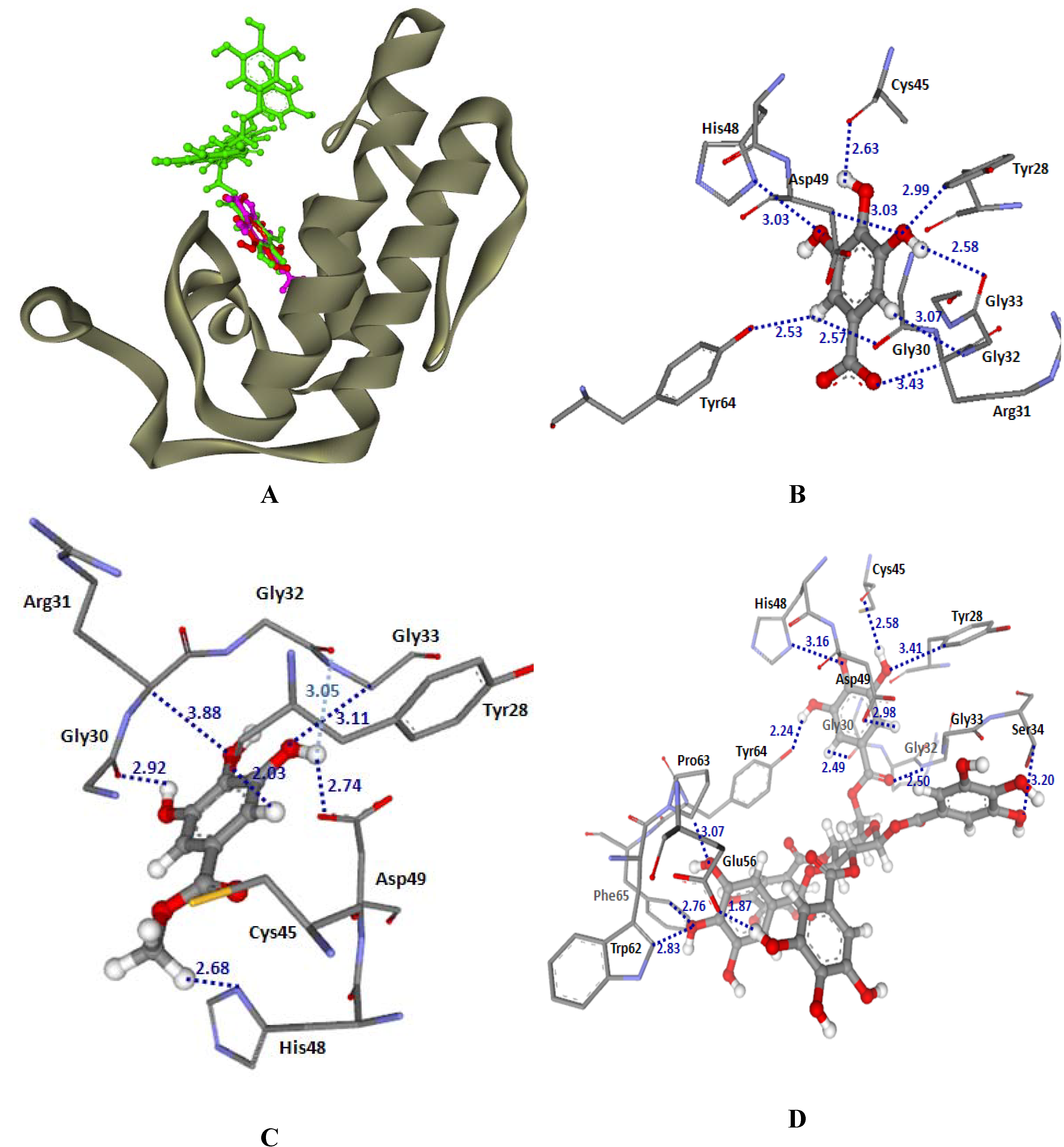 Molecules 14 01404 g006 550