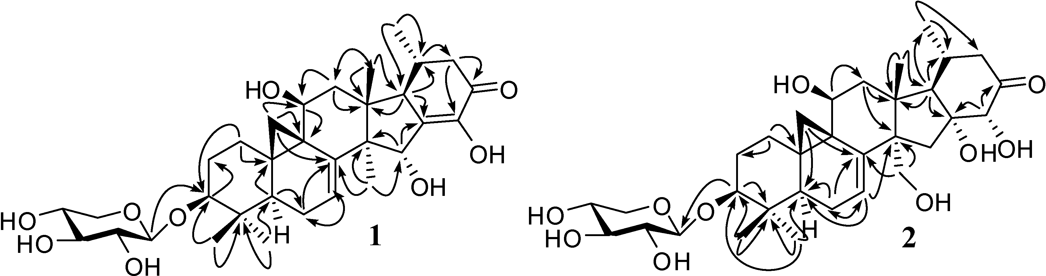 Molecules 14 01578 g002