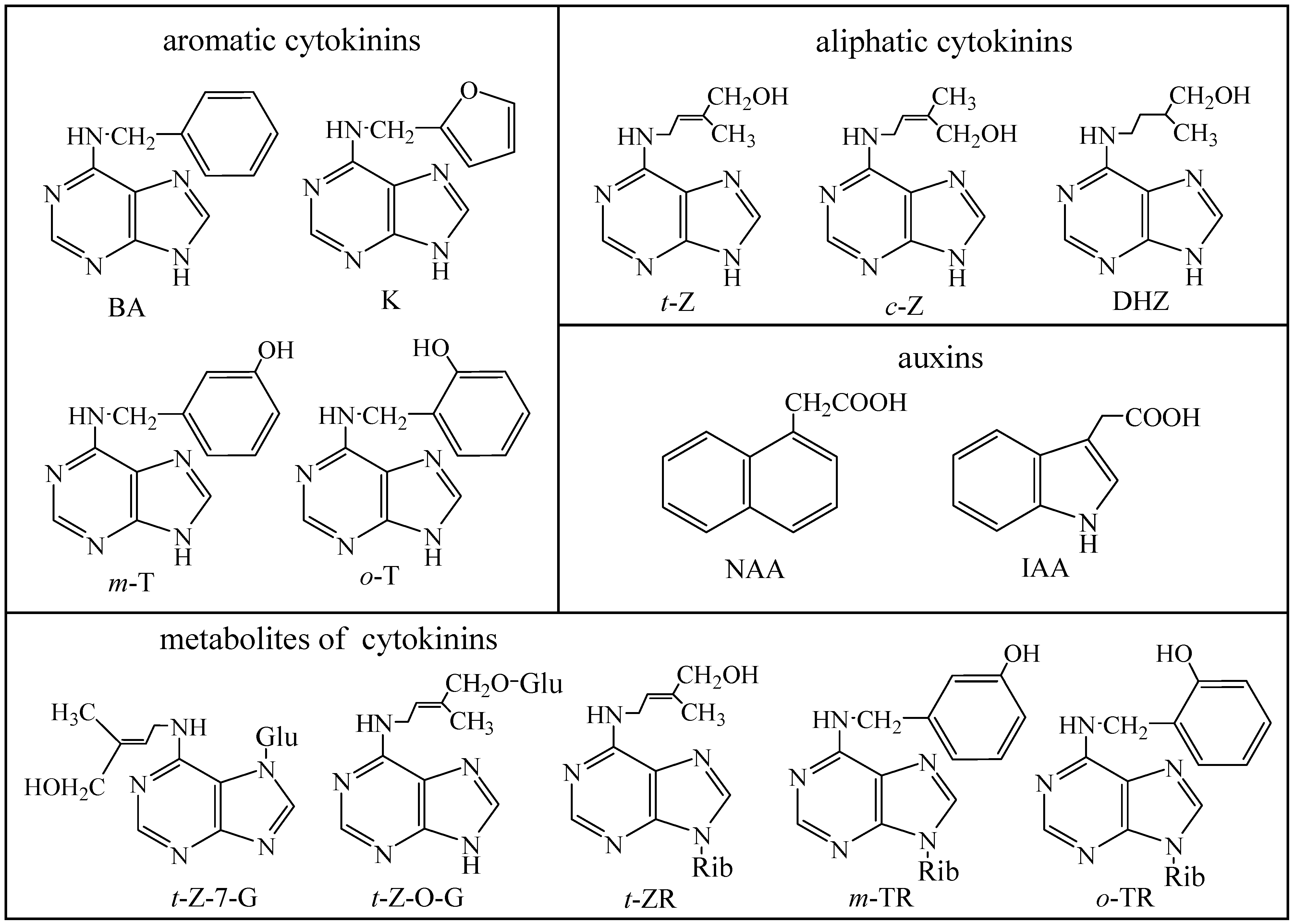 Molecules 14 01825 g001