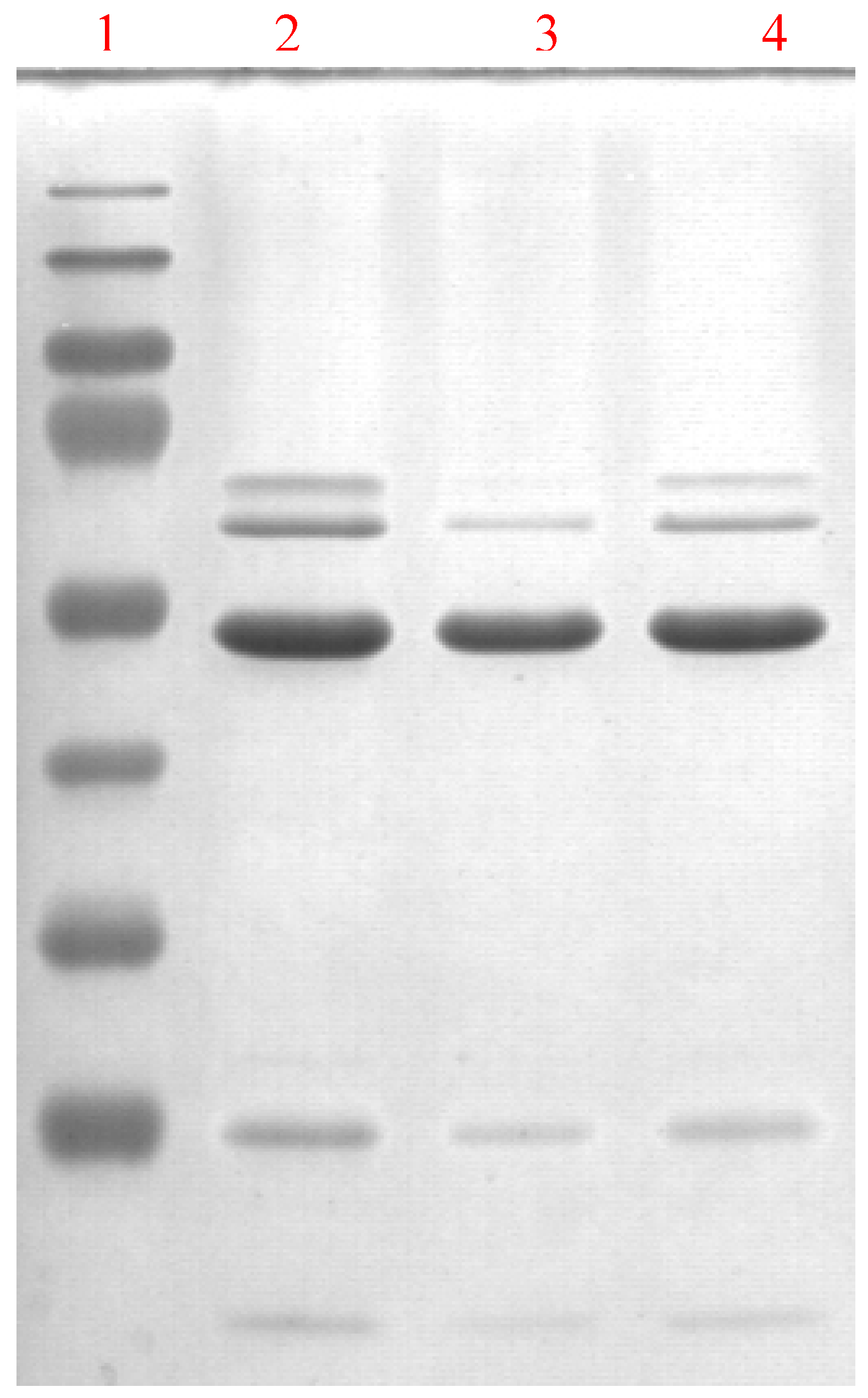 Molecules 14 02363 g004 550