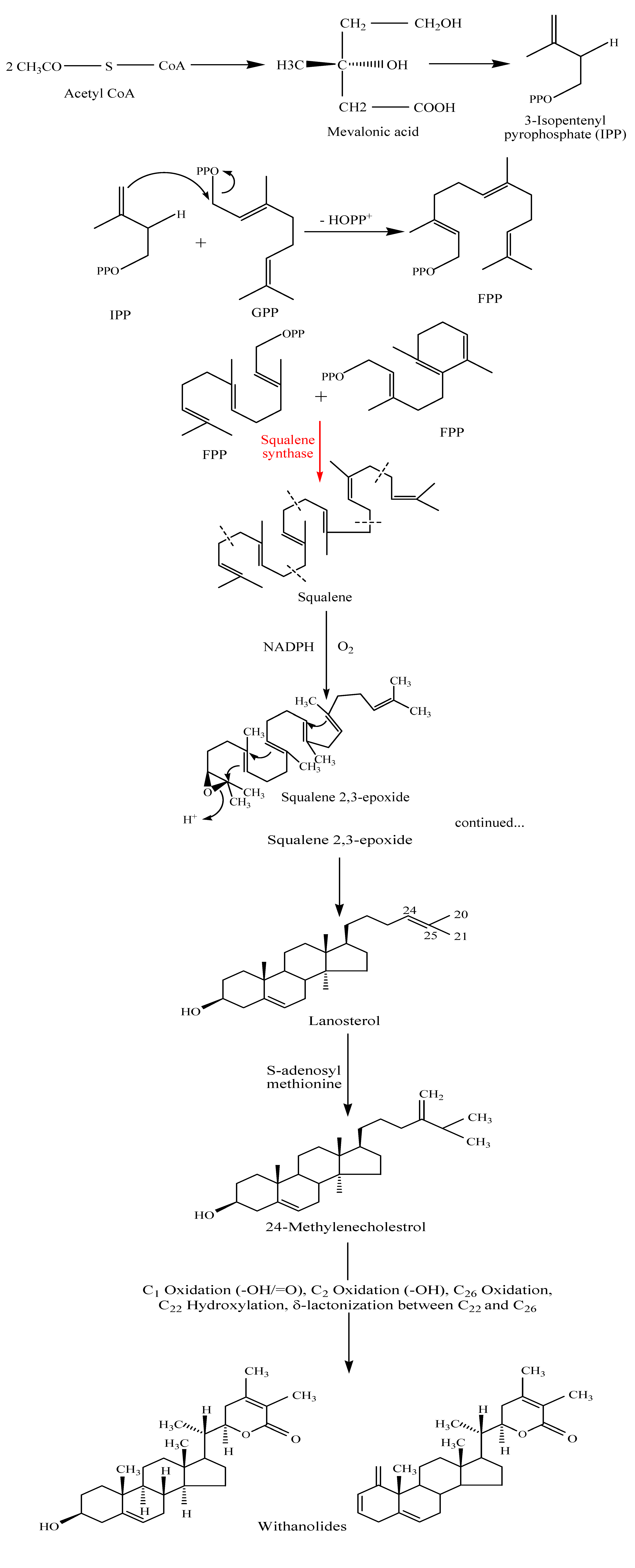 Molecules 14 02373 g002