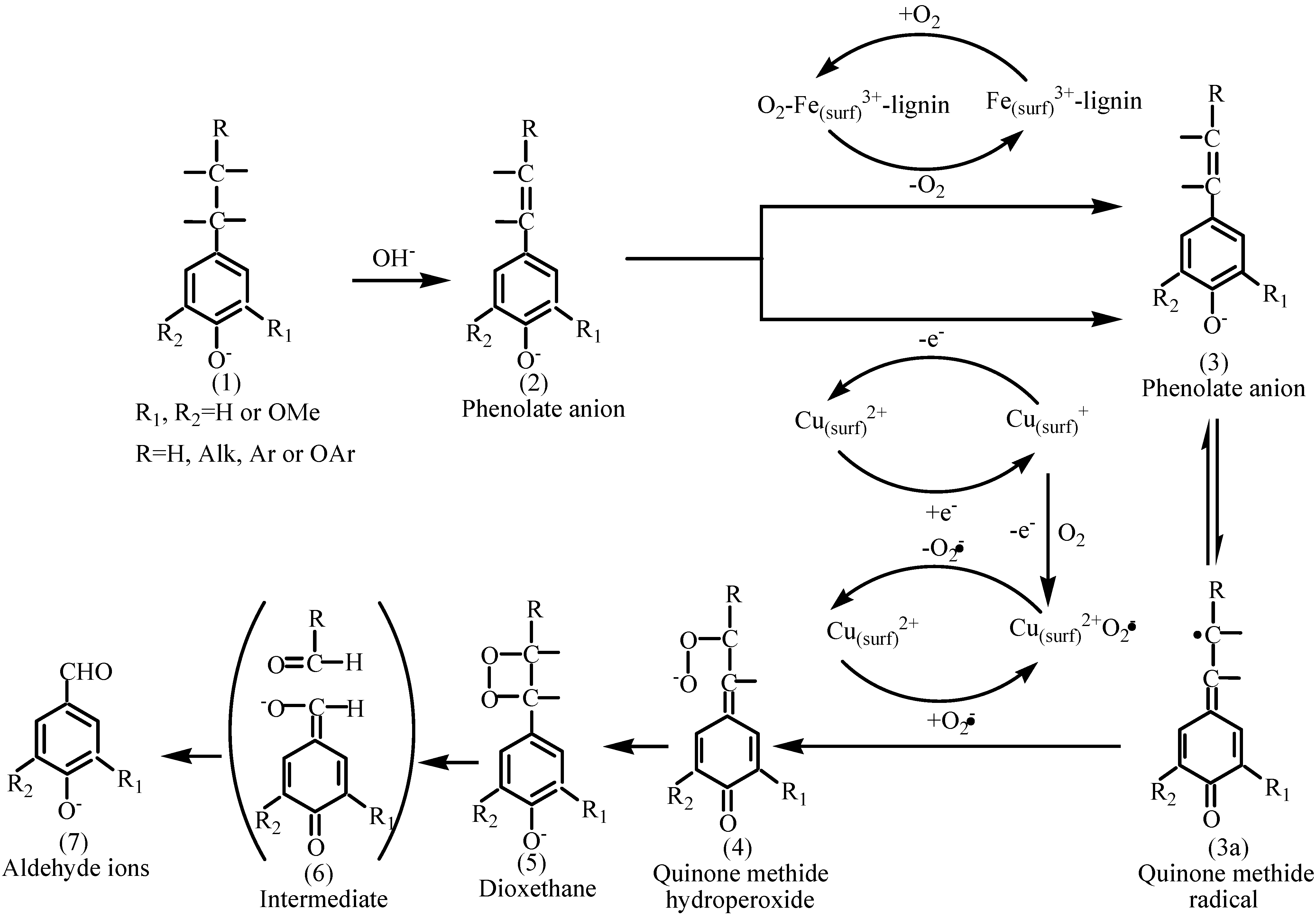 Molecules 14 02747 g006