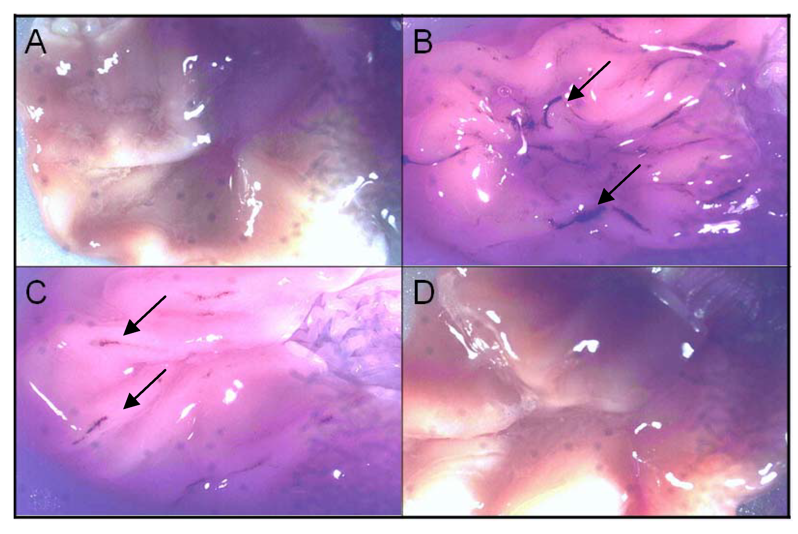 Molecules 14 03187 g005 550