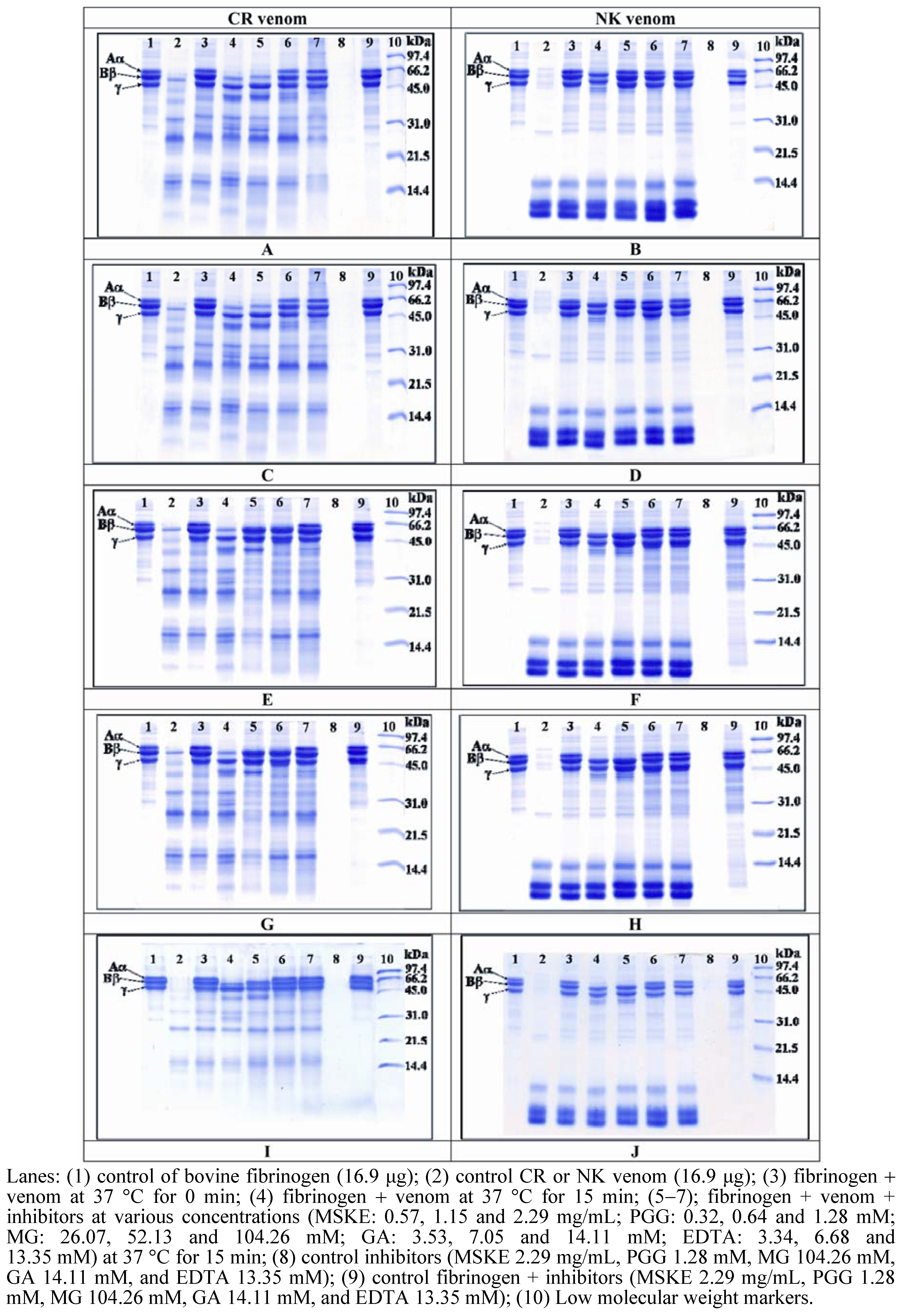 Molecules 14 03198 g002 550