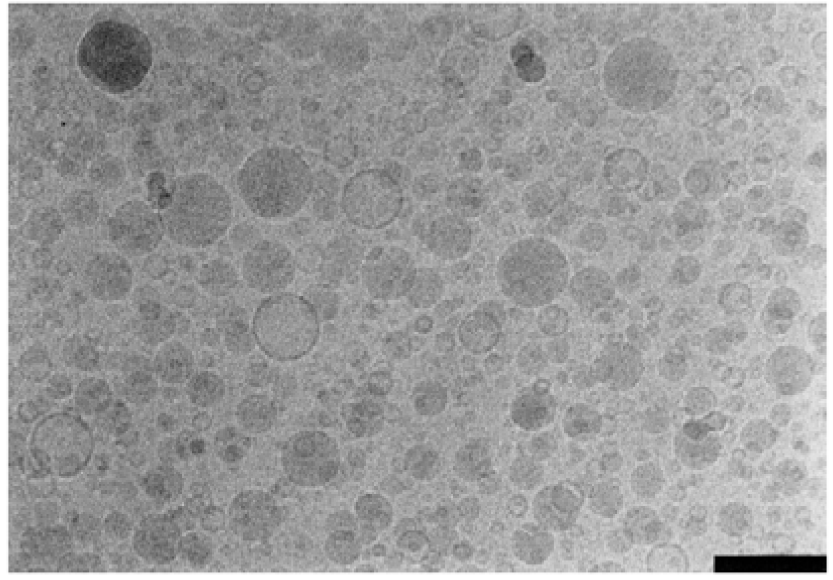 Molecules 14 03286 g006