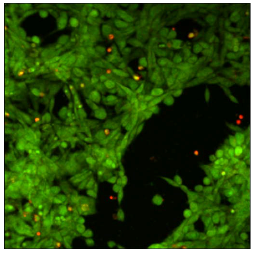 Molecules 14 03662 g007 550
