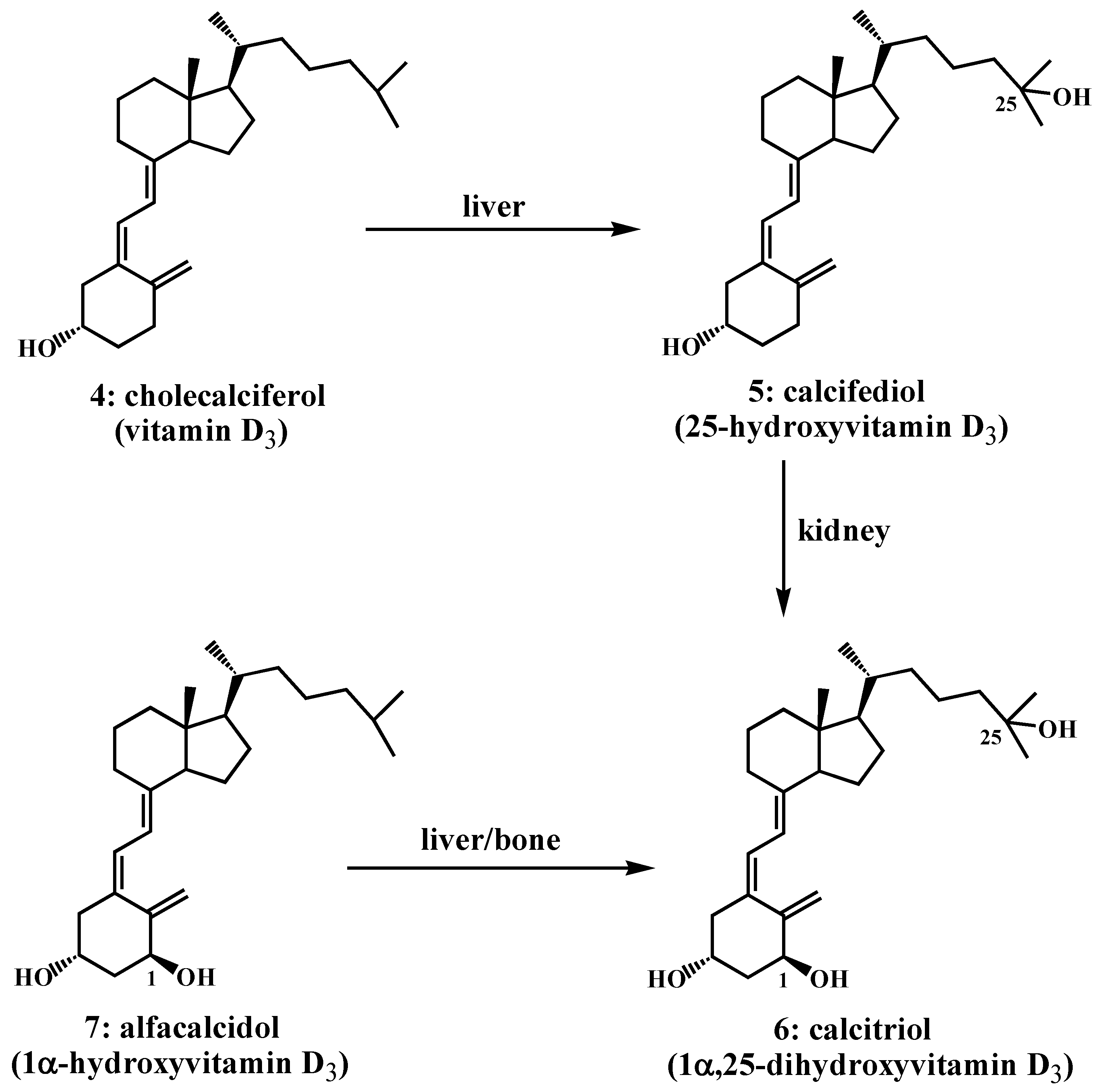 Molecules | Free Full-Text | A New Look at the Most Successful Prodrugs