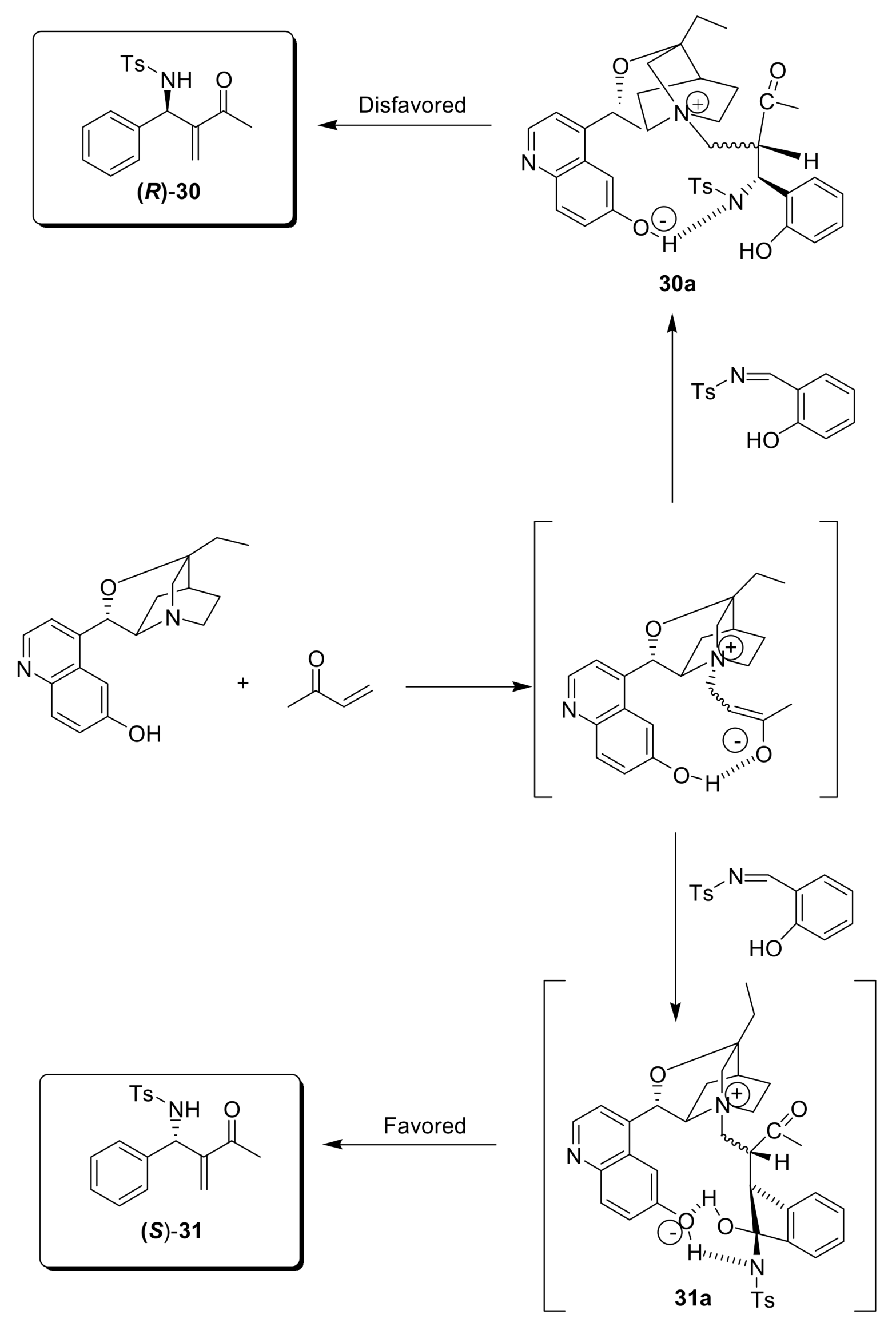 Molecules 14 03989 sch017