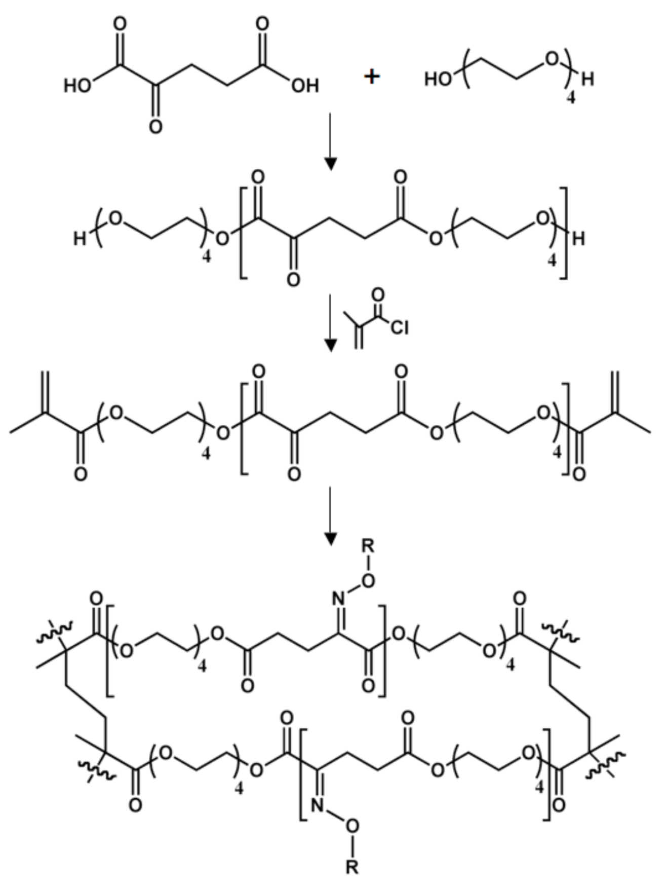Molecules 14 04022 g011