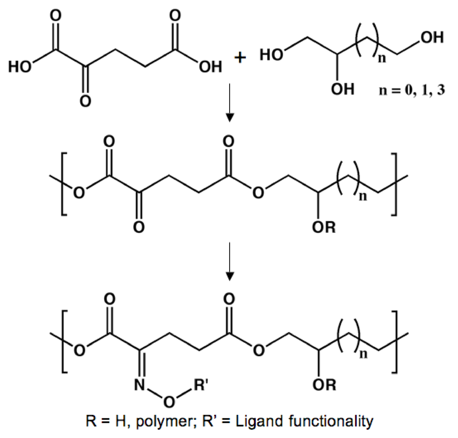 Molecules 14 04022 g012