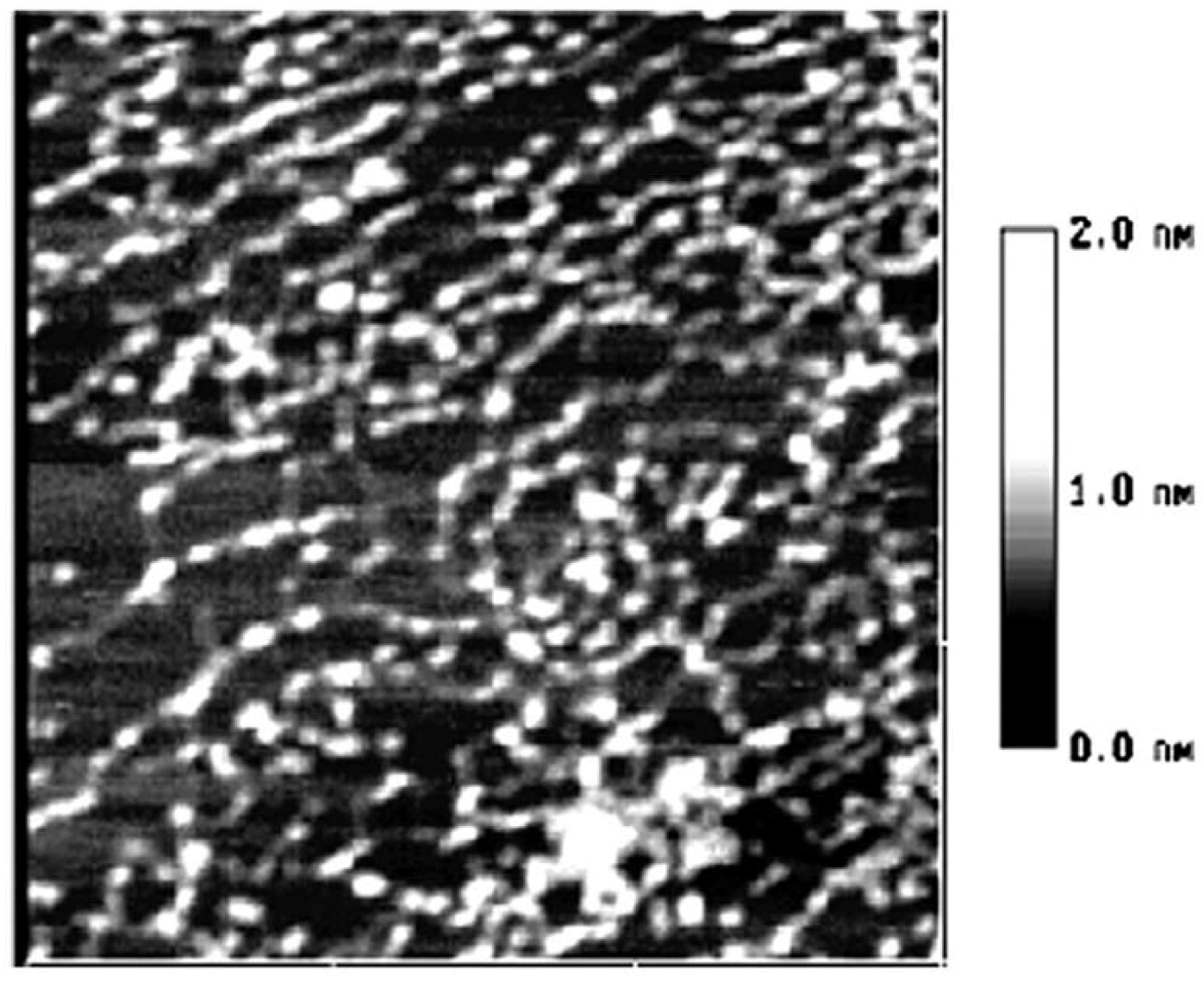 Molecules 14 04079 g004