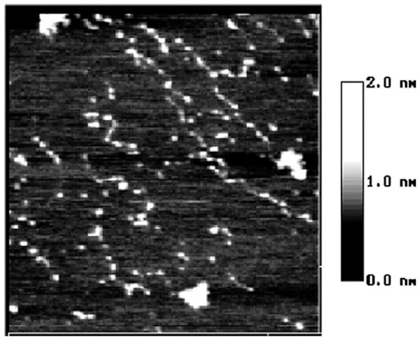 Molecules 14 04079 g005