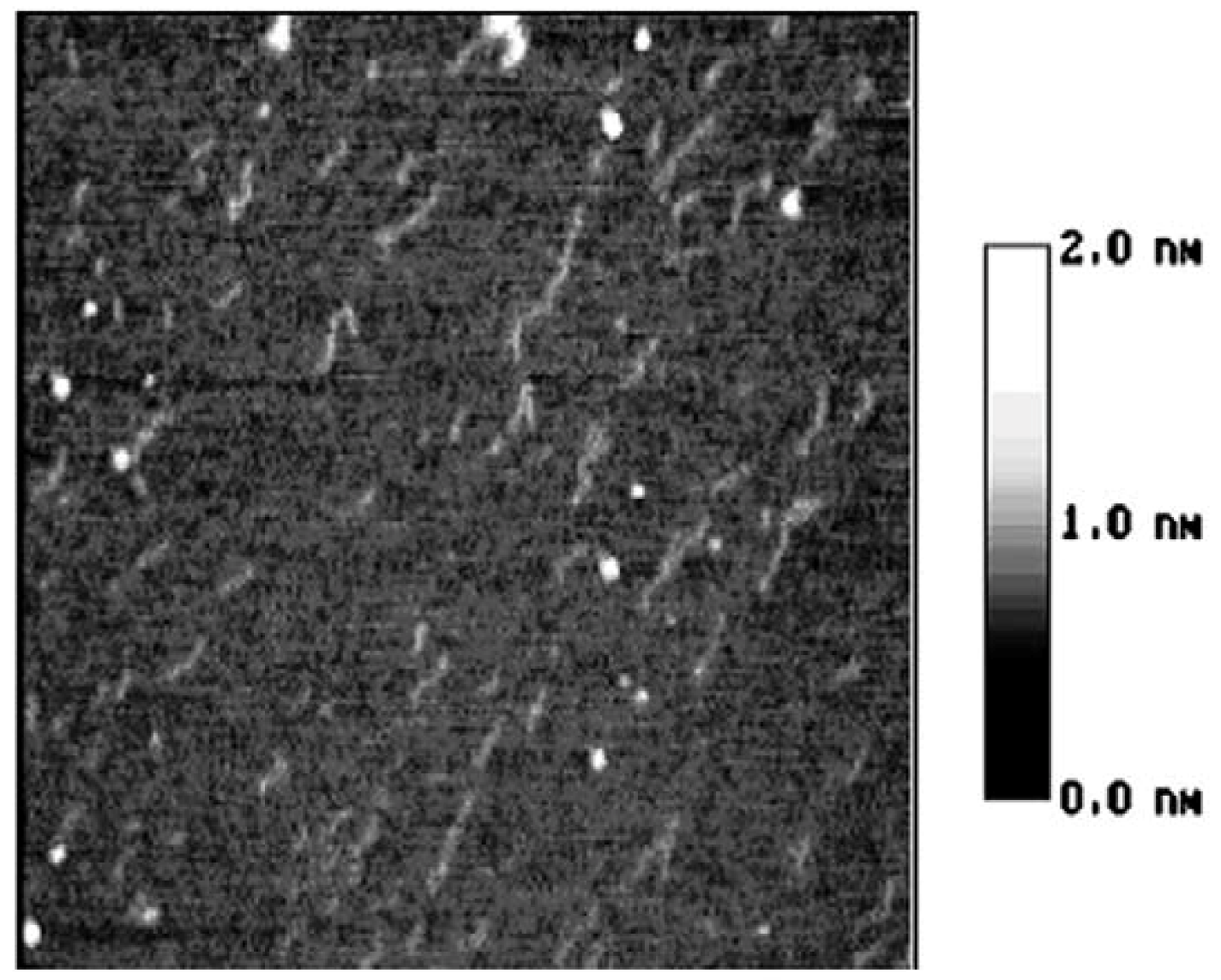 Molecules 14 04079 g007