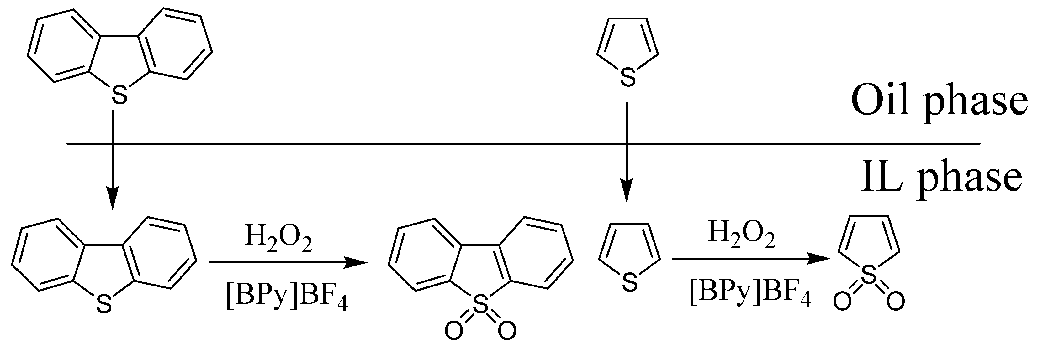 Molecules 14 04351 g002