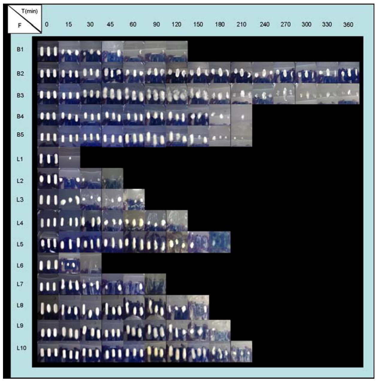 Molecules 14 04370 g004