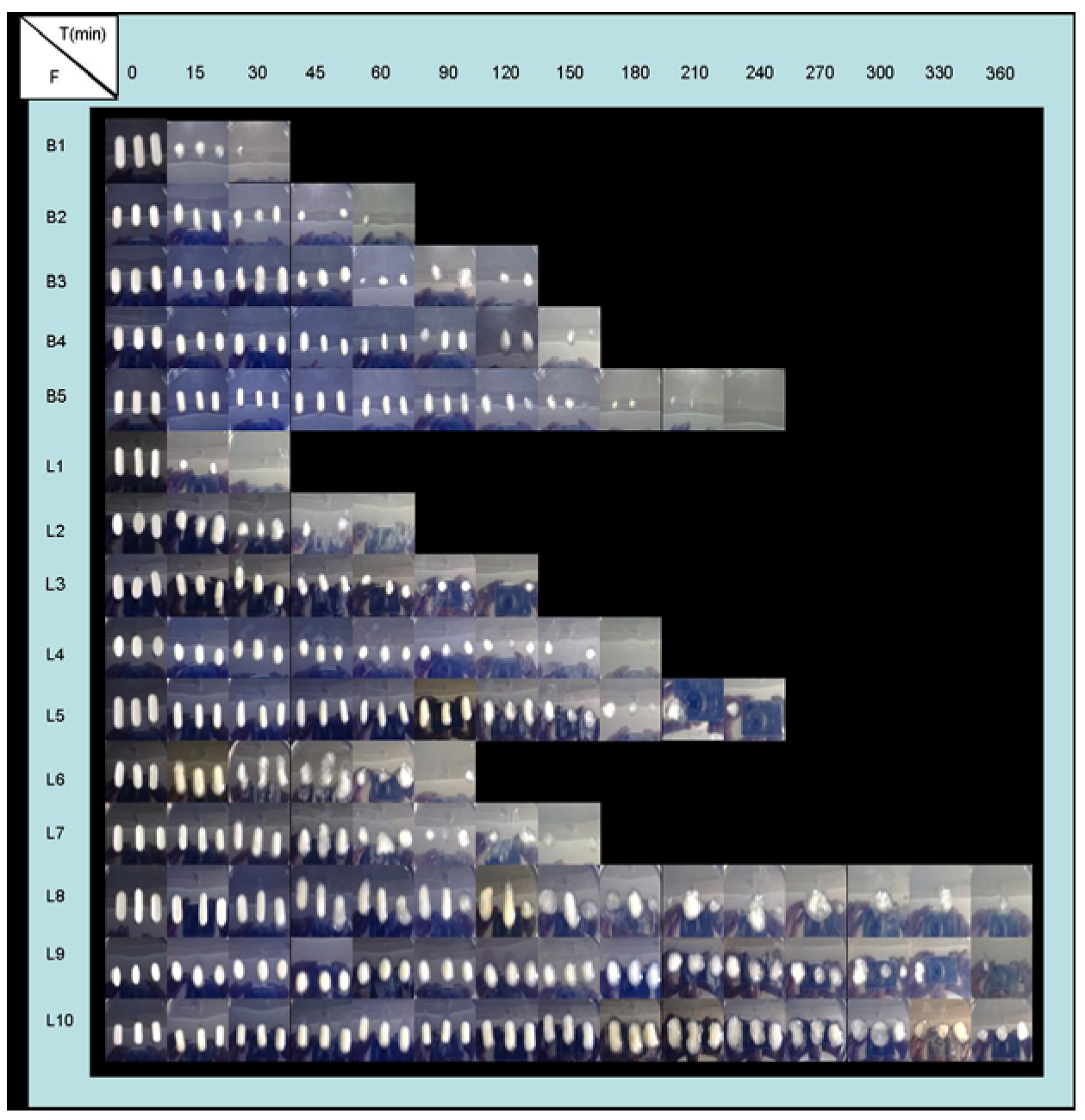 Molecules 14 04370 g005