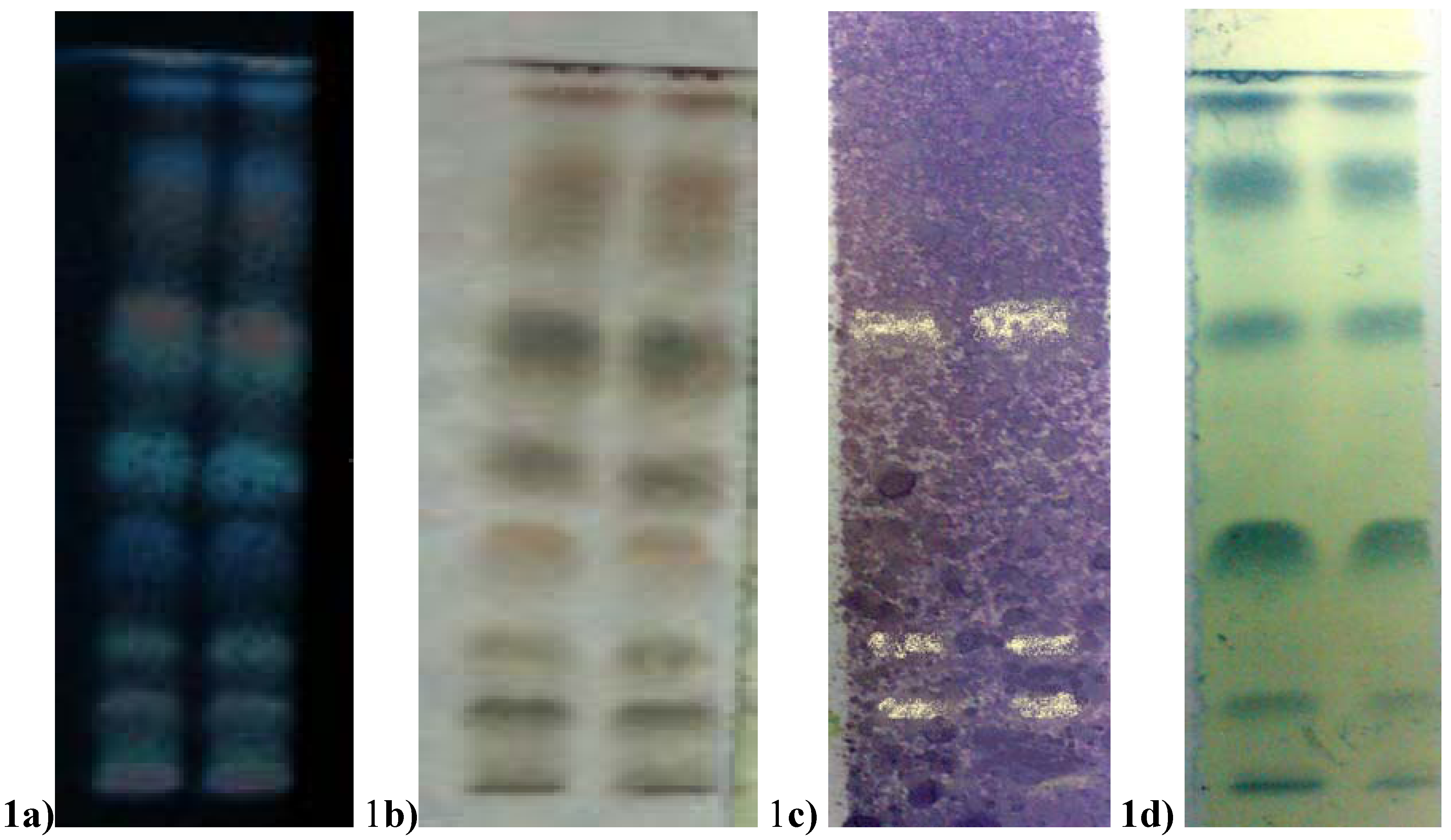 Molecules 14 04476 g001