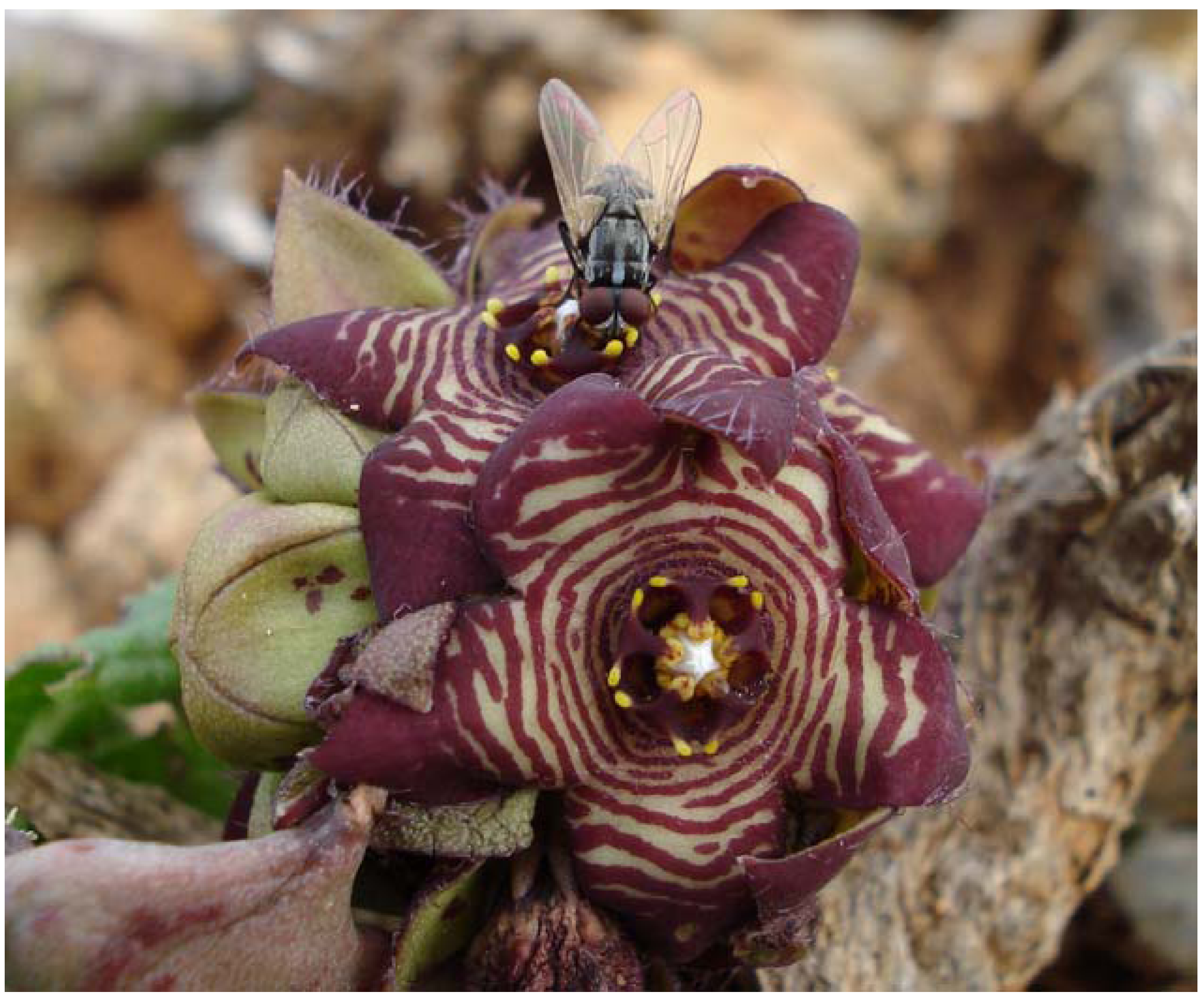 Molecules 14 04597 g003