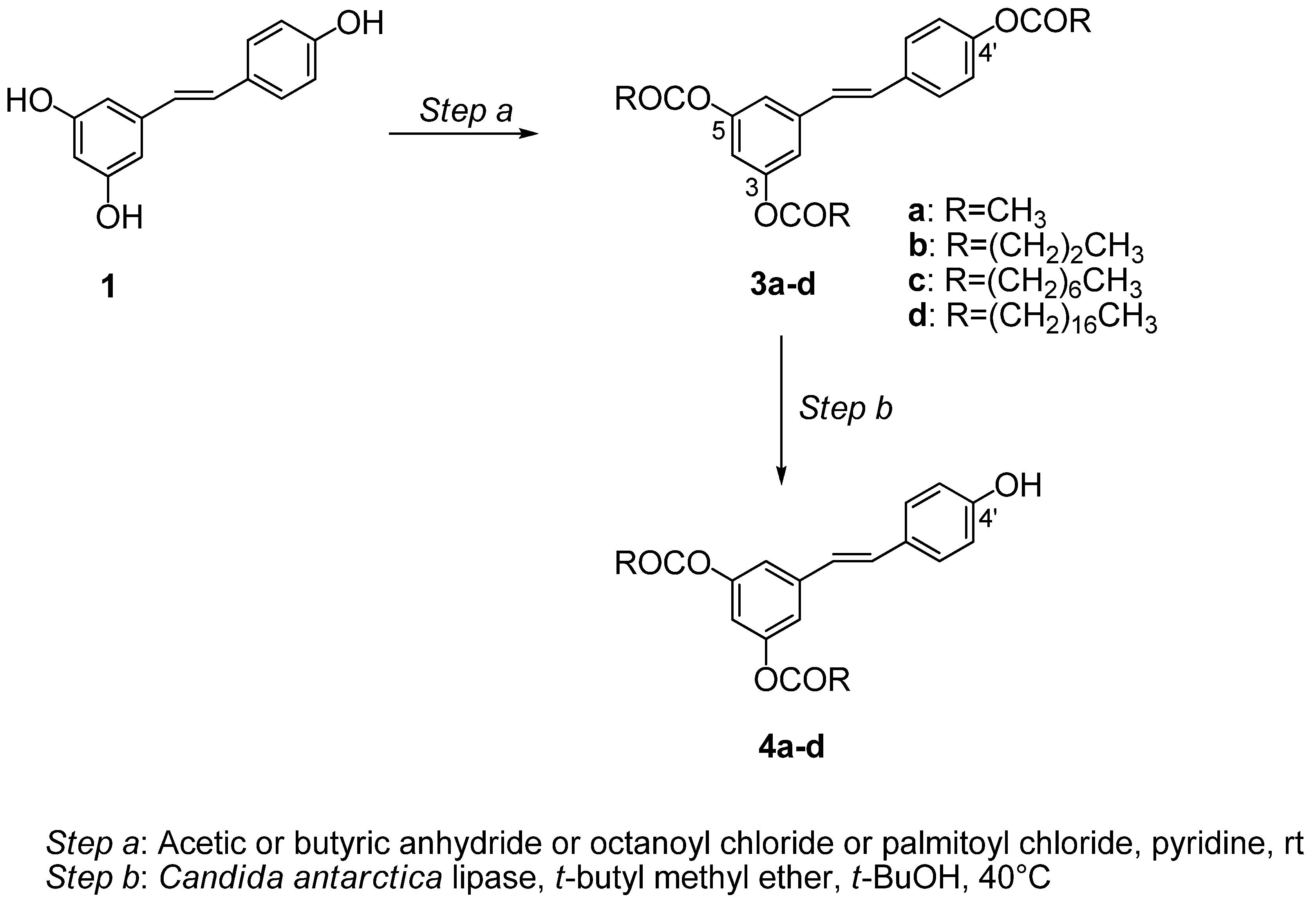 Molecules 14 04669 sch001 550