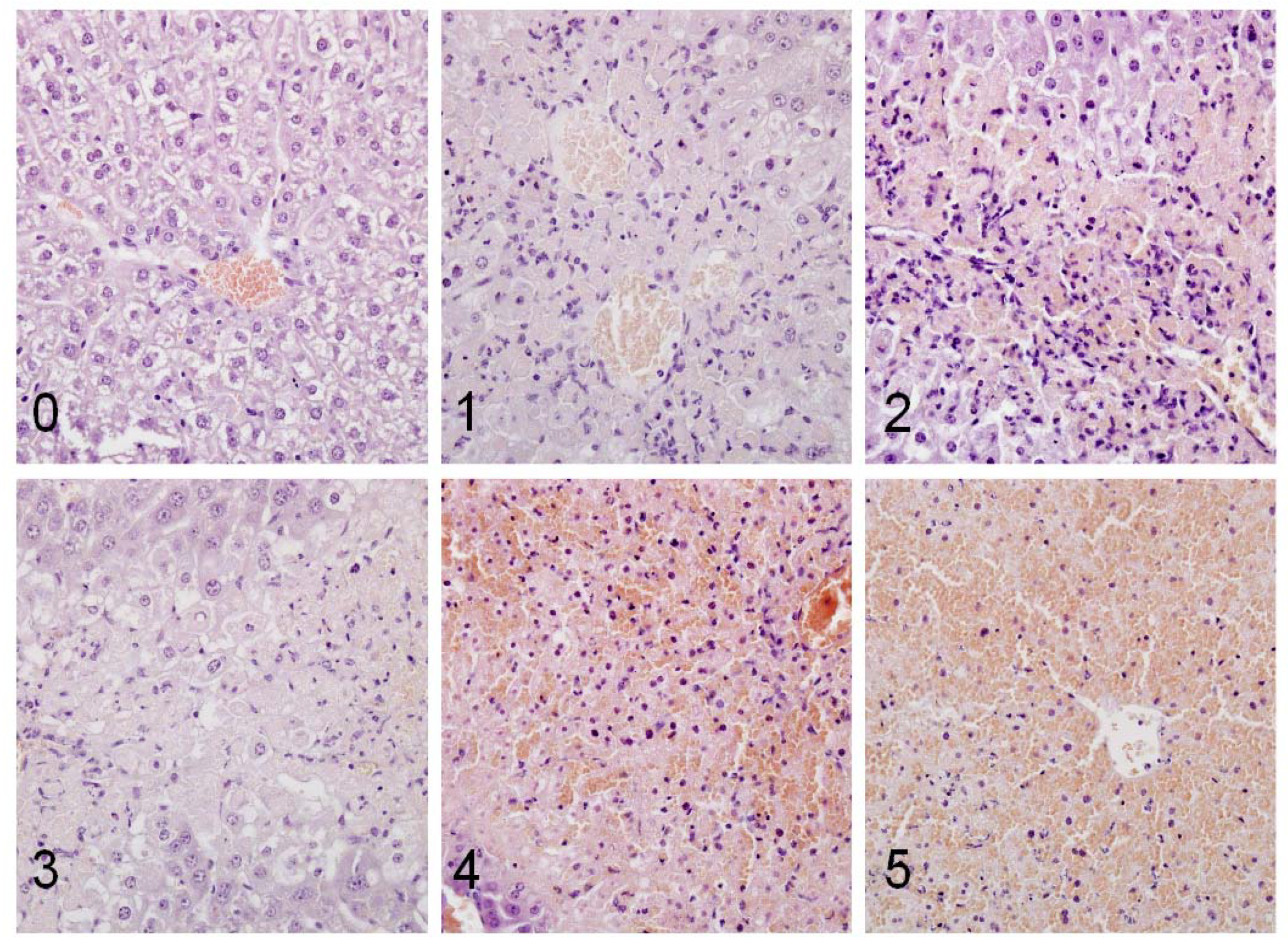 Molecules 14 05017 g004 550