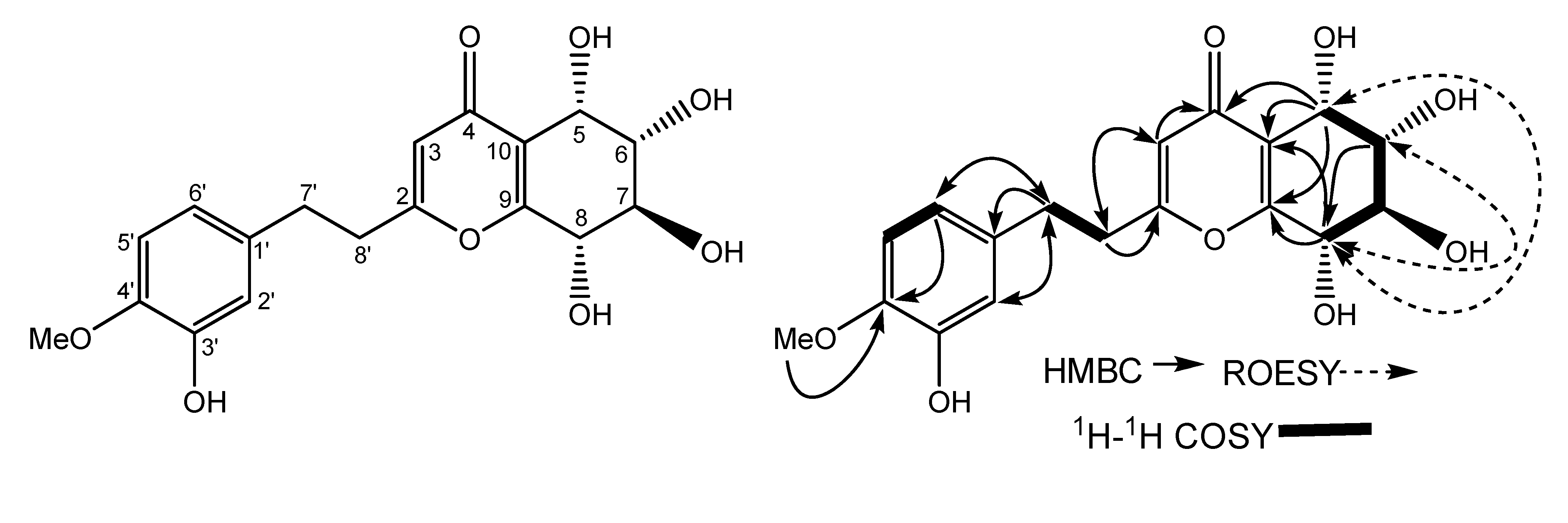 Molecules 14 05165 g001