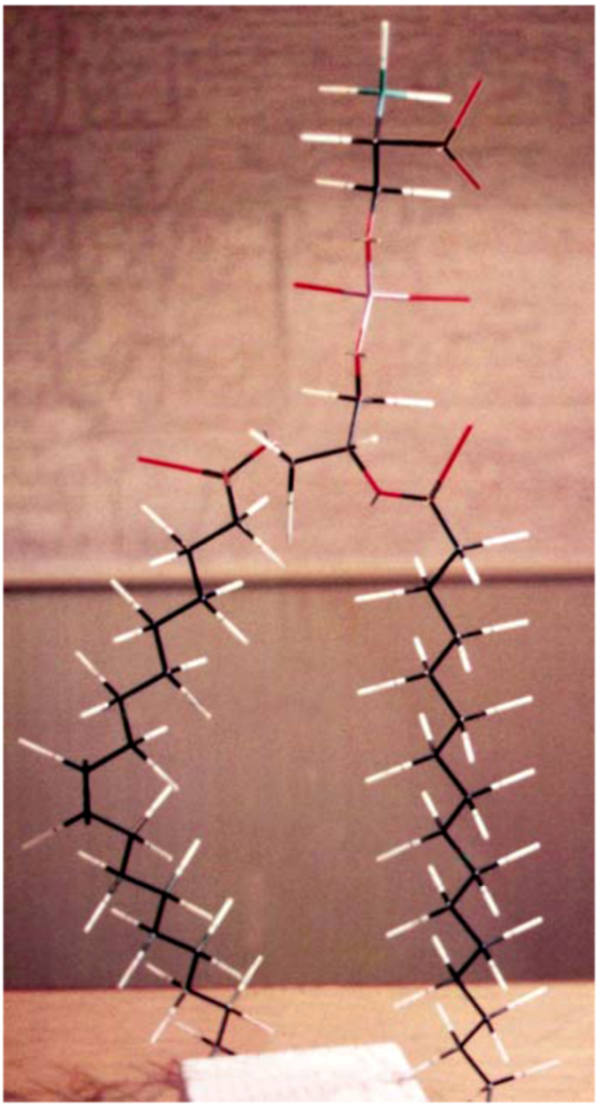 Molecules 14 05367 g001