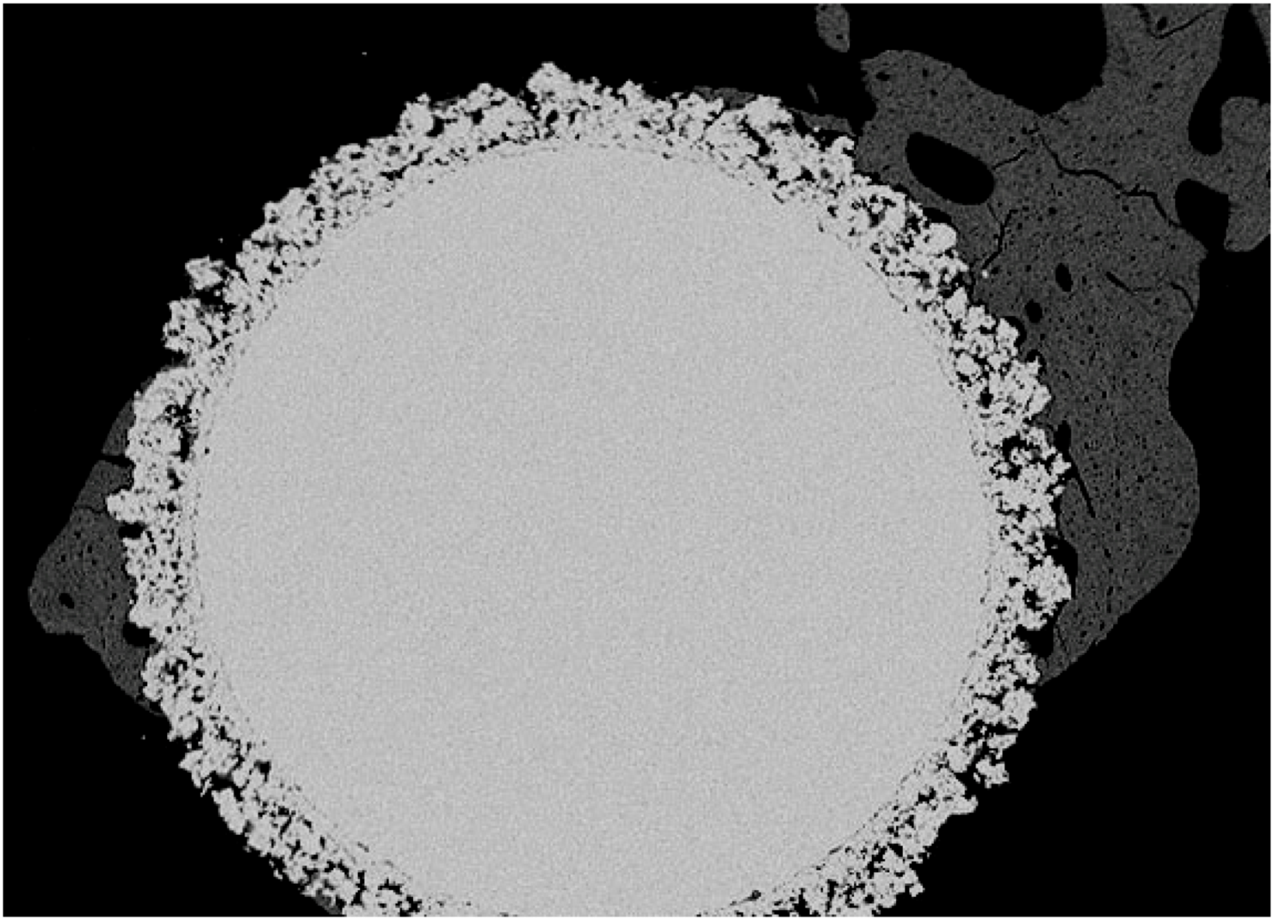Molecules 14 05367 g002