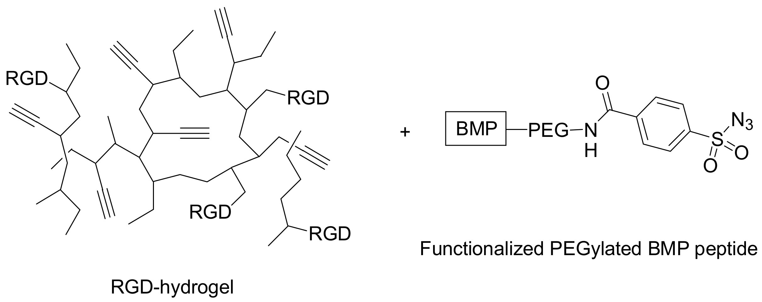 Molecules 15 00178 g006